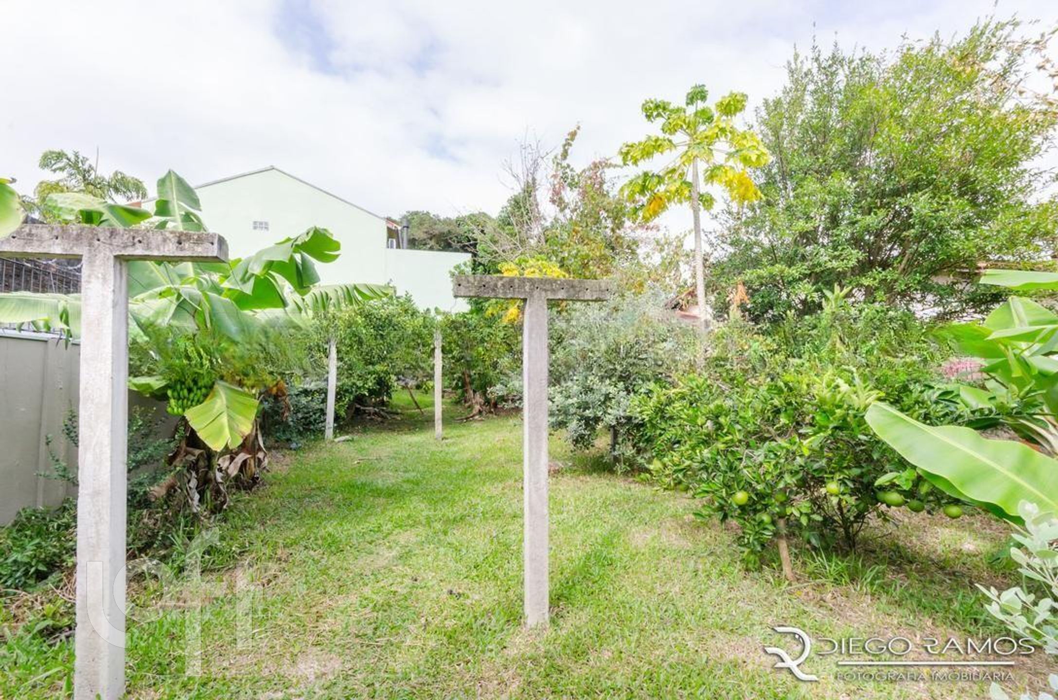 Imagem da propriedade 43