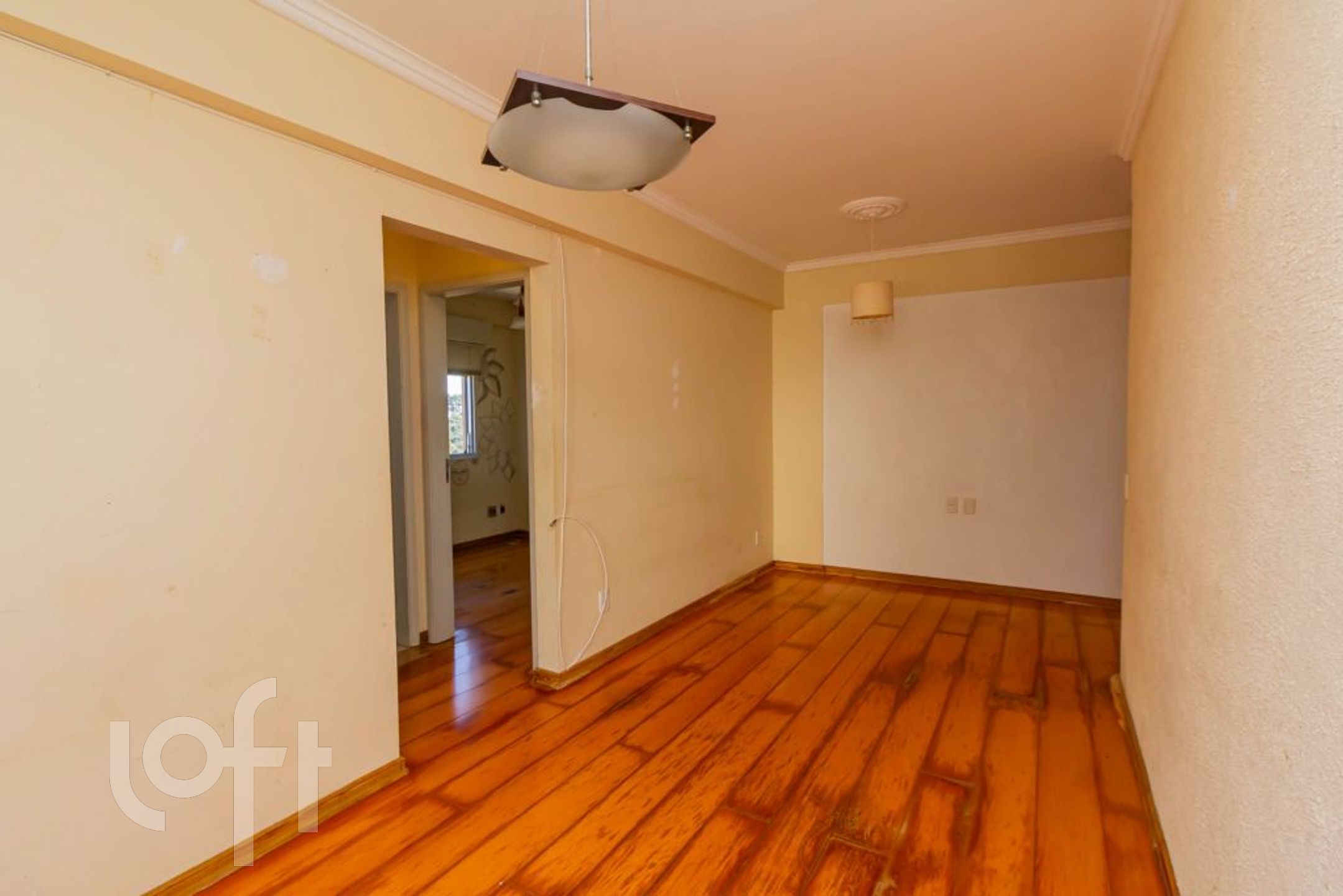 Imagem da propriedade 11