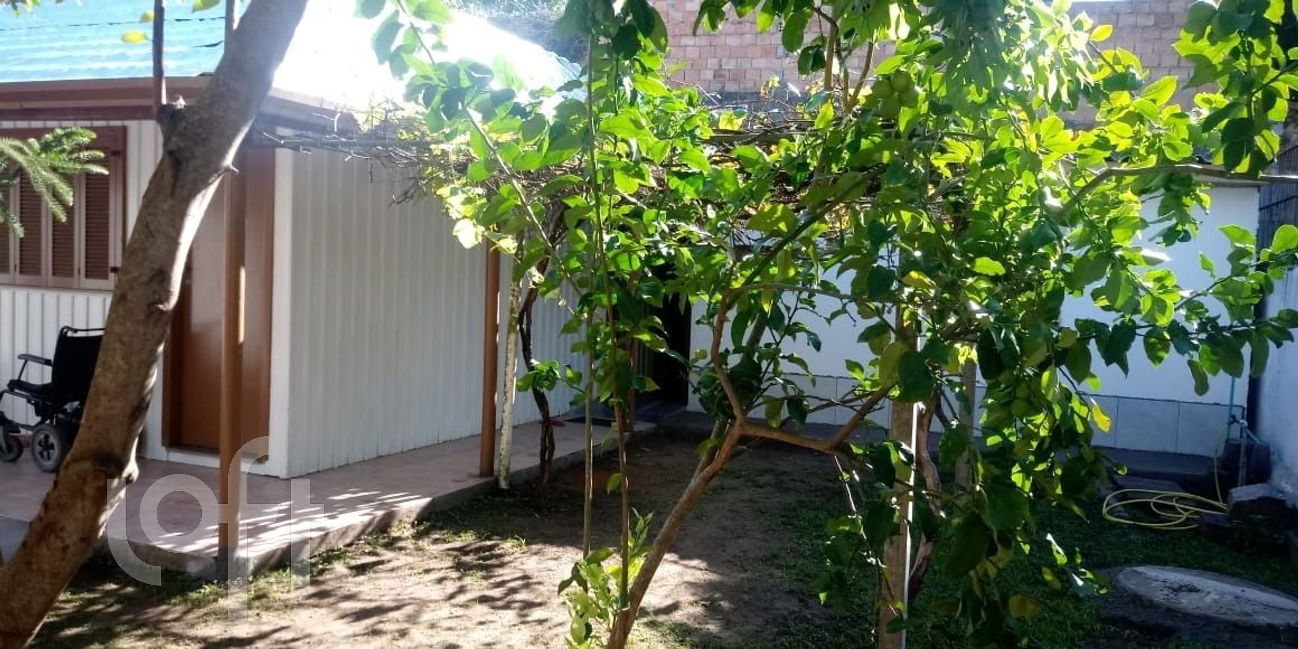 Imagem da propriedade 7