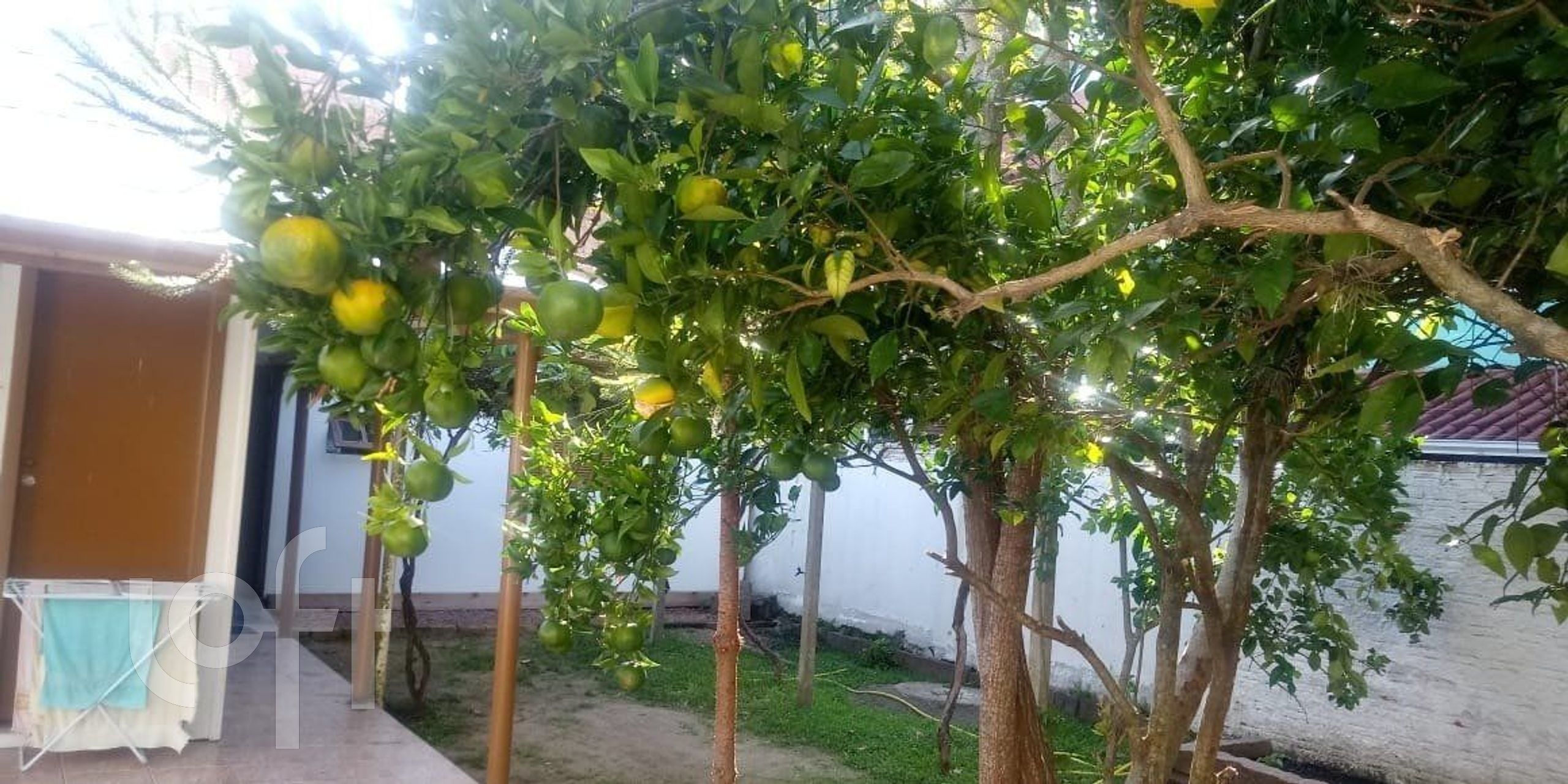 Imagem da propriedade 12