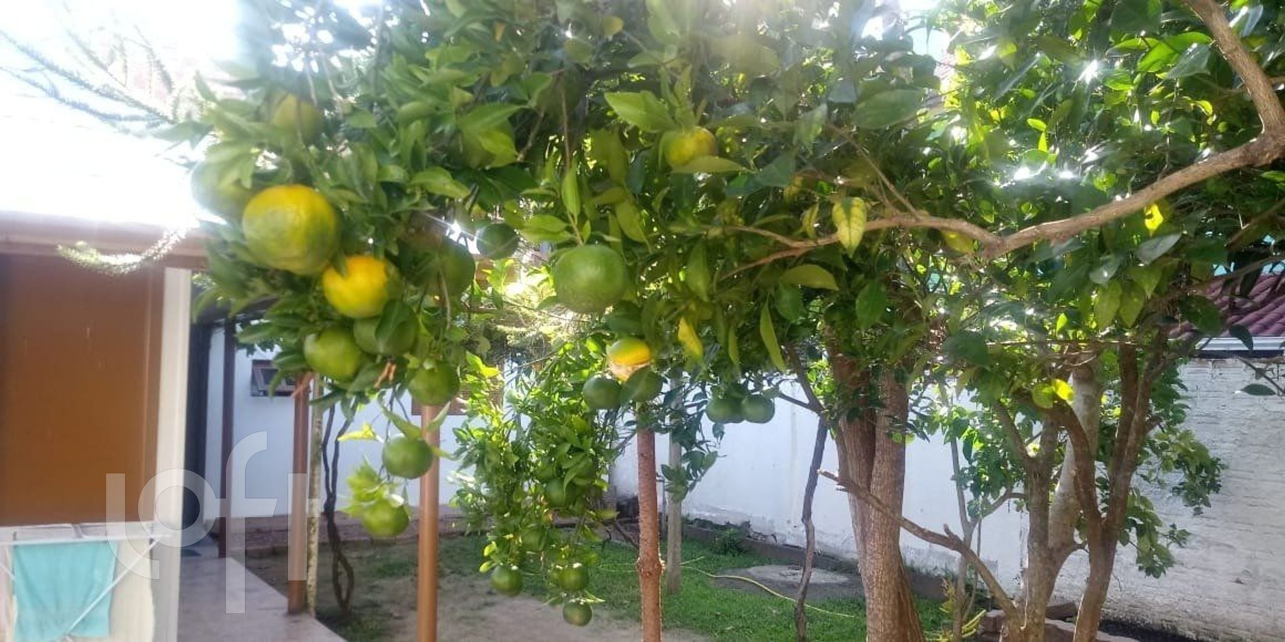 Imagem da propriedade 11