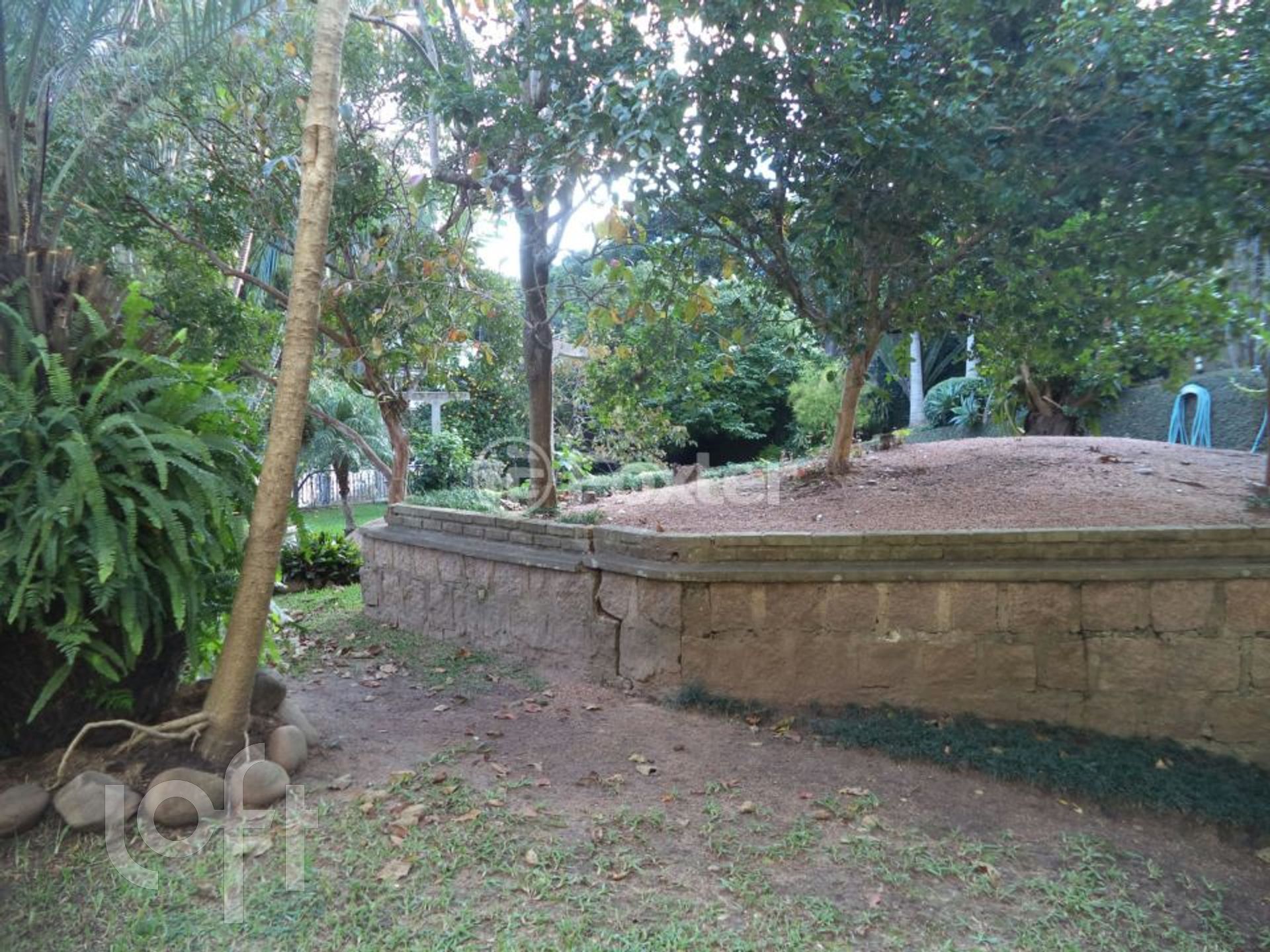 Imagem da propriedade 7