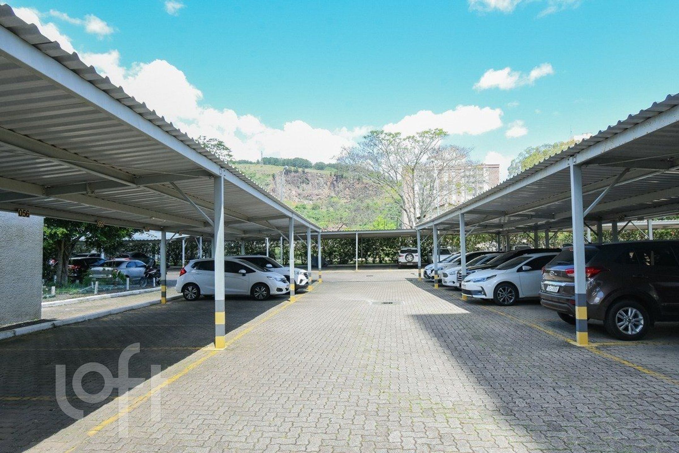 Imagem da propriedade 34