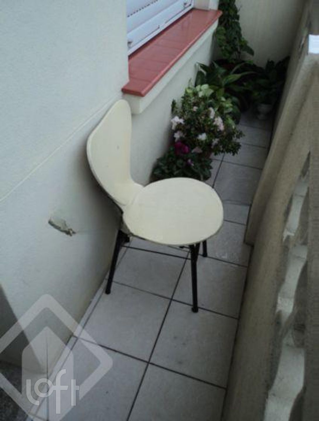 Imagem da propriedade 5