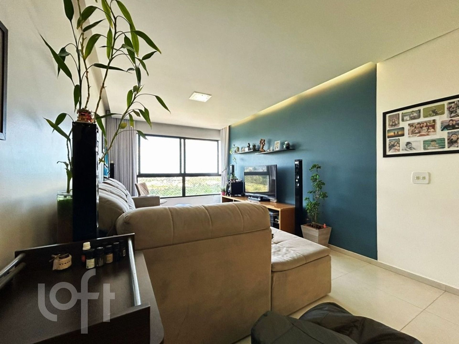 Imagem da propriedade 19