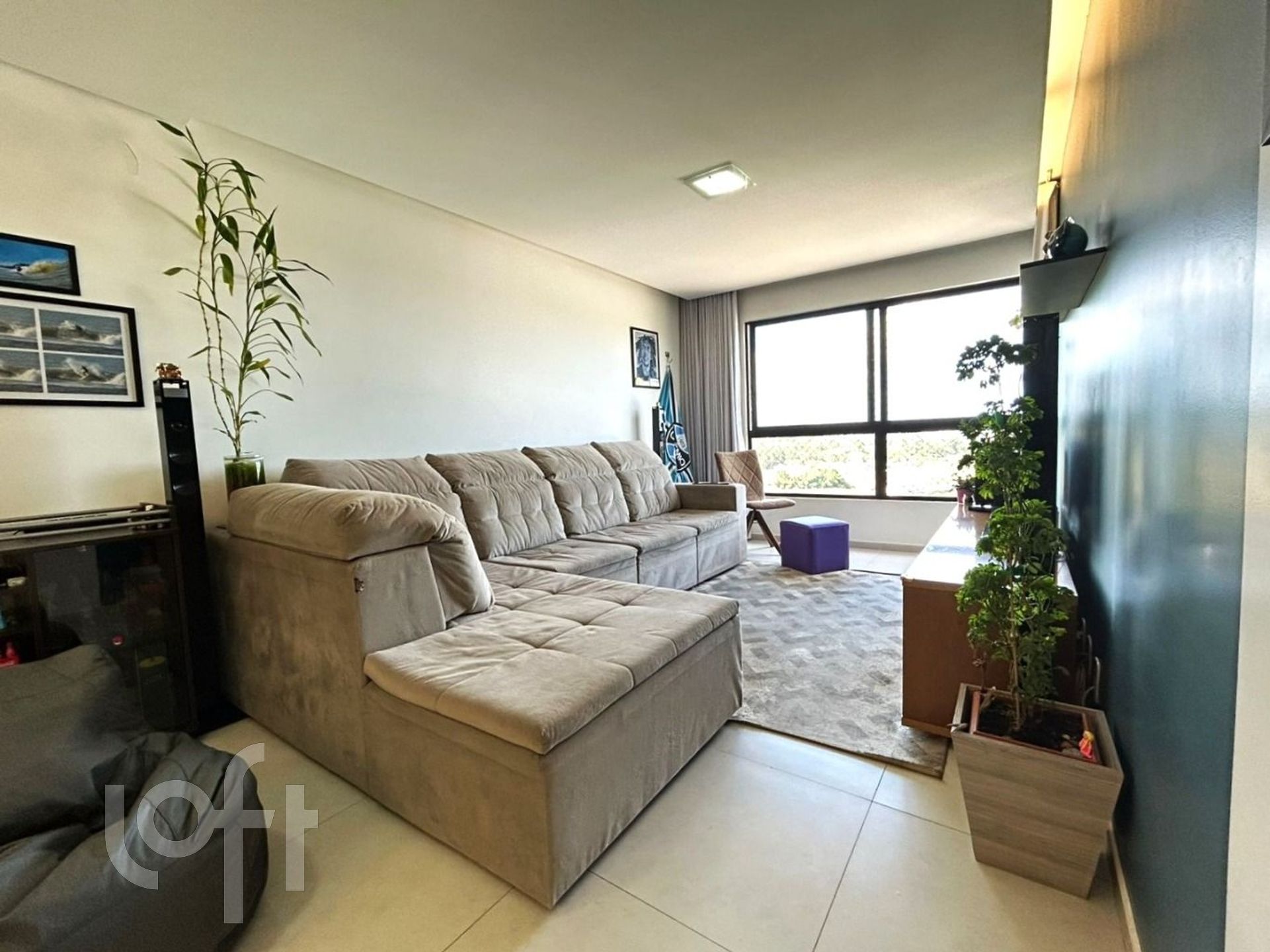 Imagem da propriedade 2