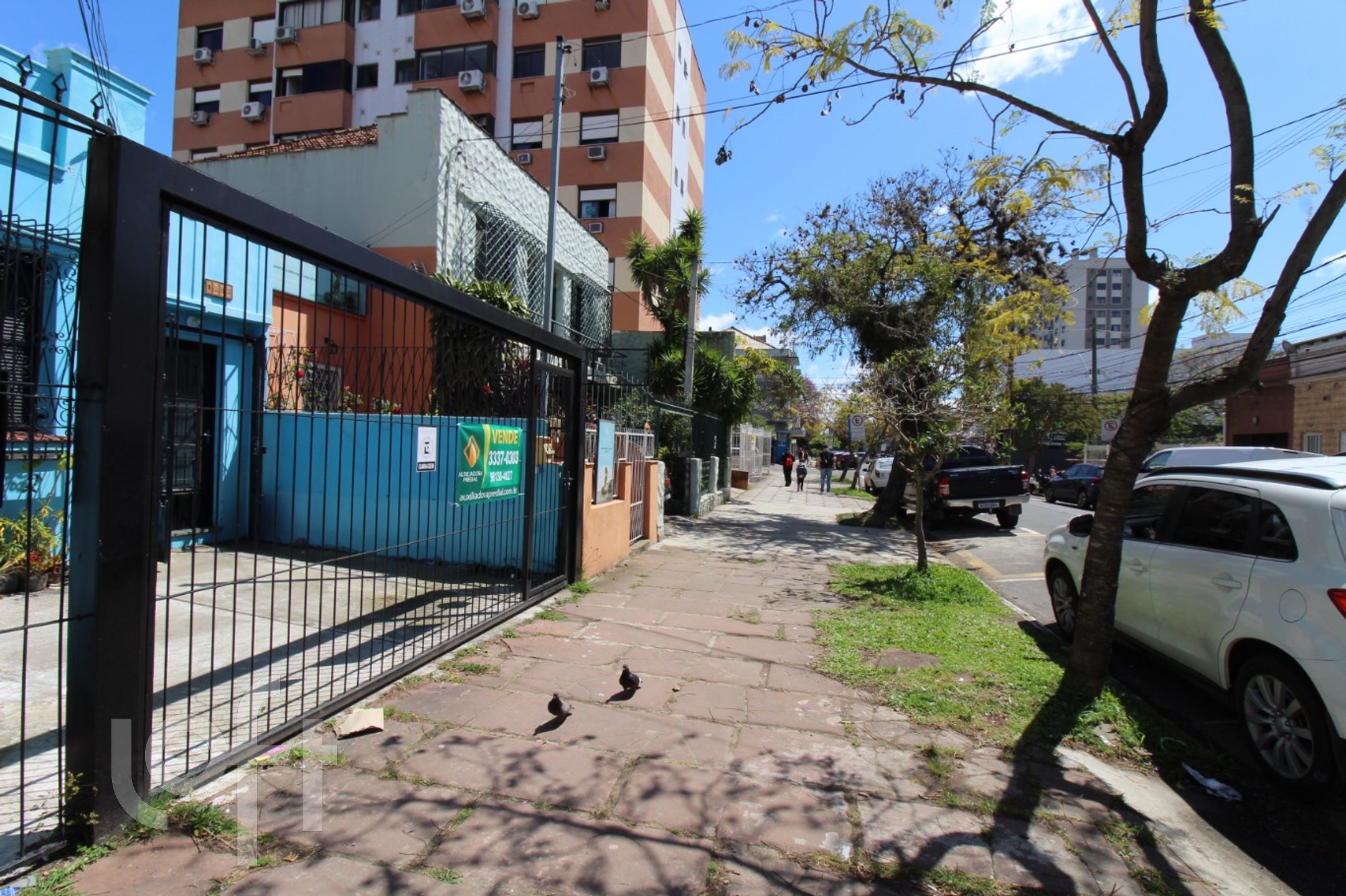 Imagem da propriedade 27