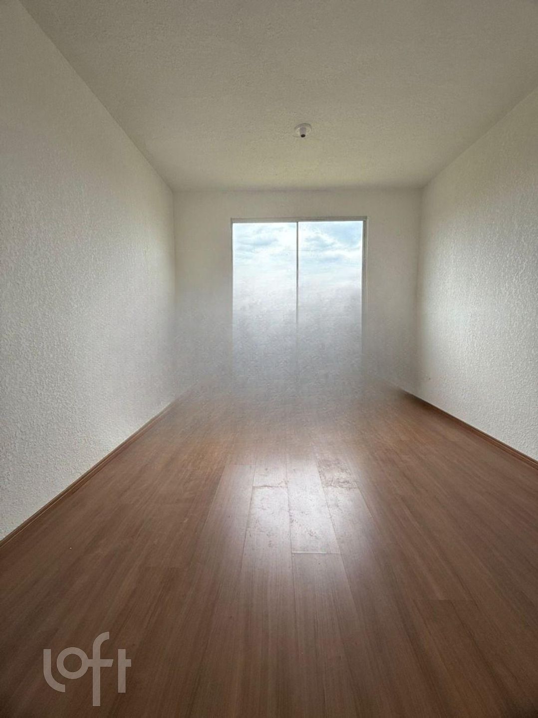 Imagem da propriedade 6