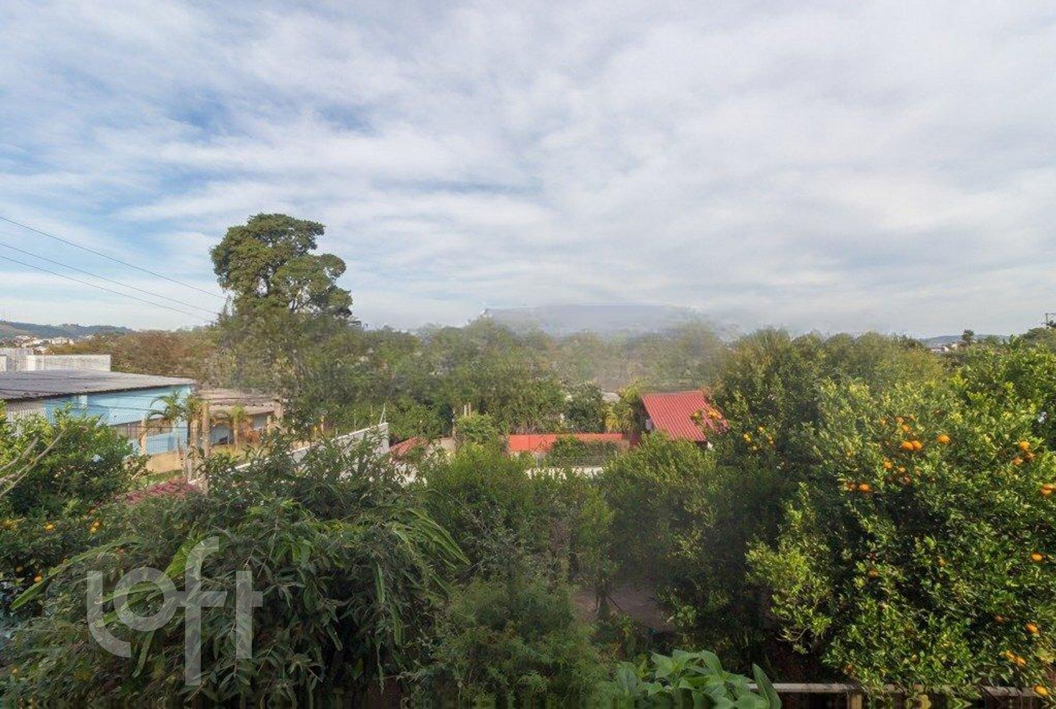 Imagem da propriedade 16