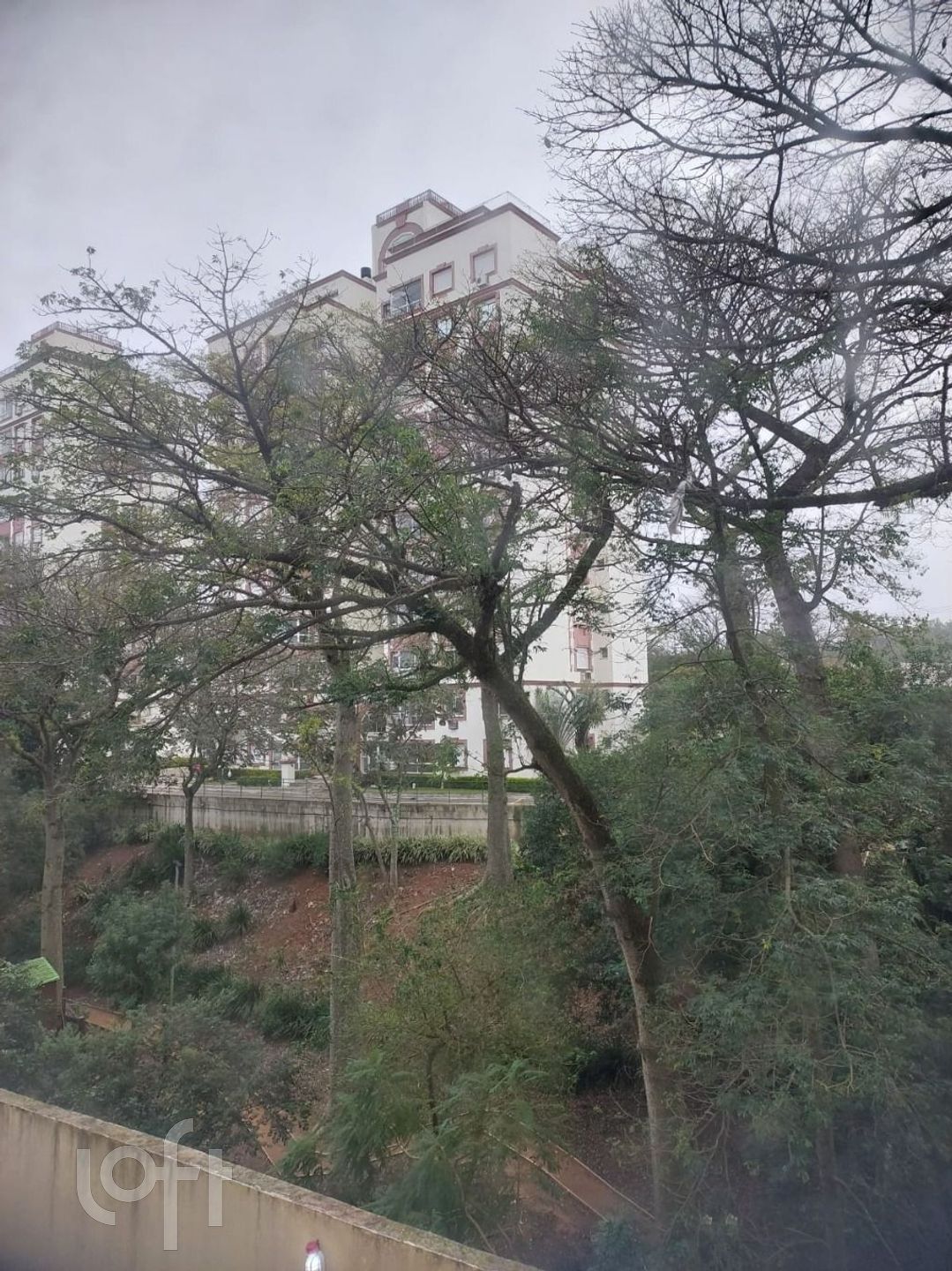 Imagem da propriedade 32