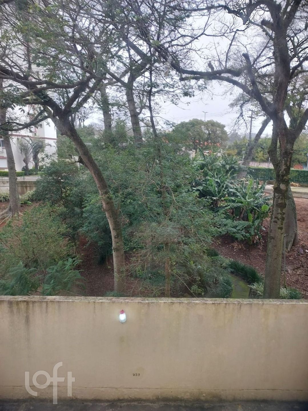 Imagem da propriedade 18