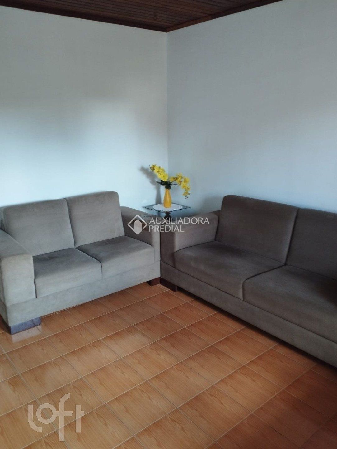 Imagem da propriedade 4