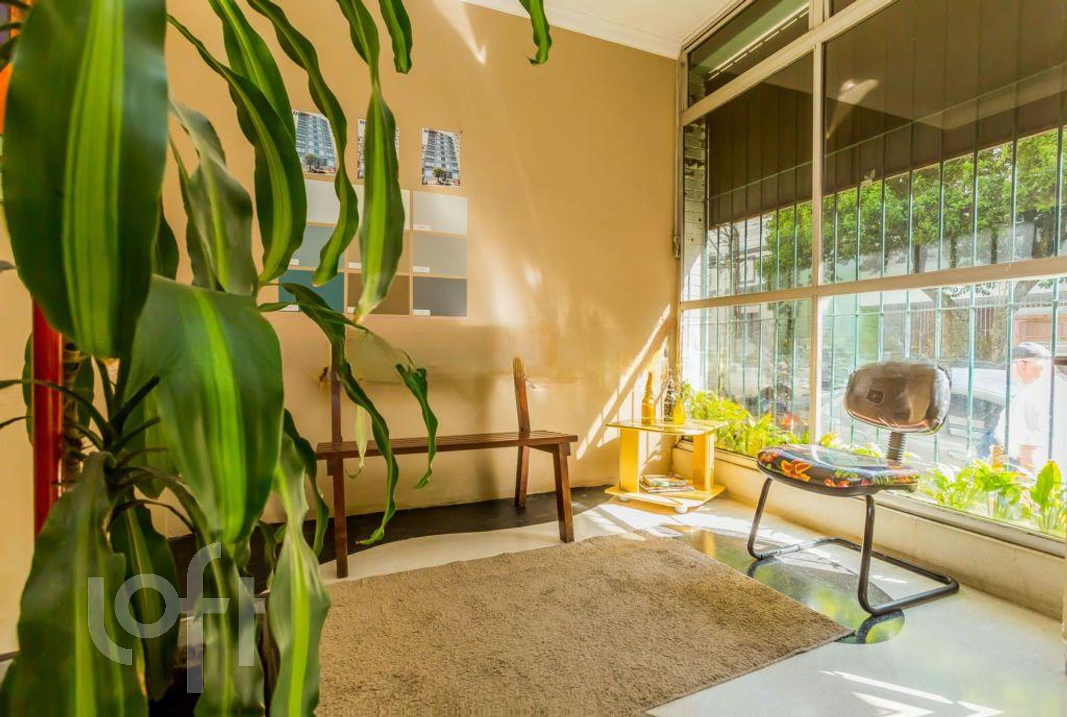 Imagem da propriedade 10