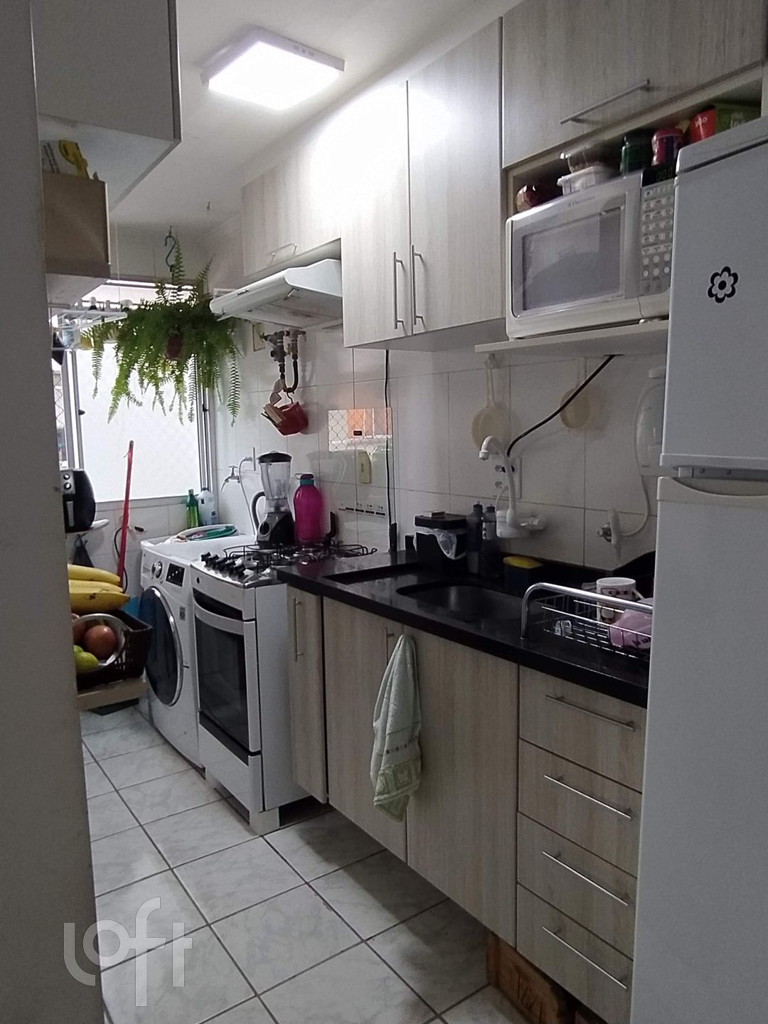 Apartamento à venda com 2 quartos, 39m² - Foto 2