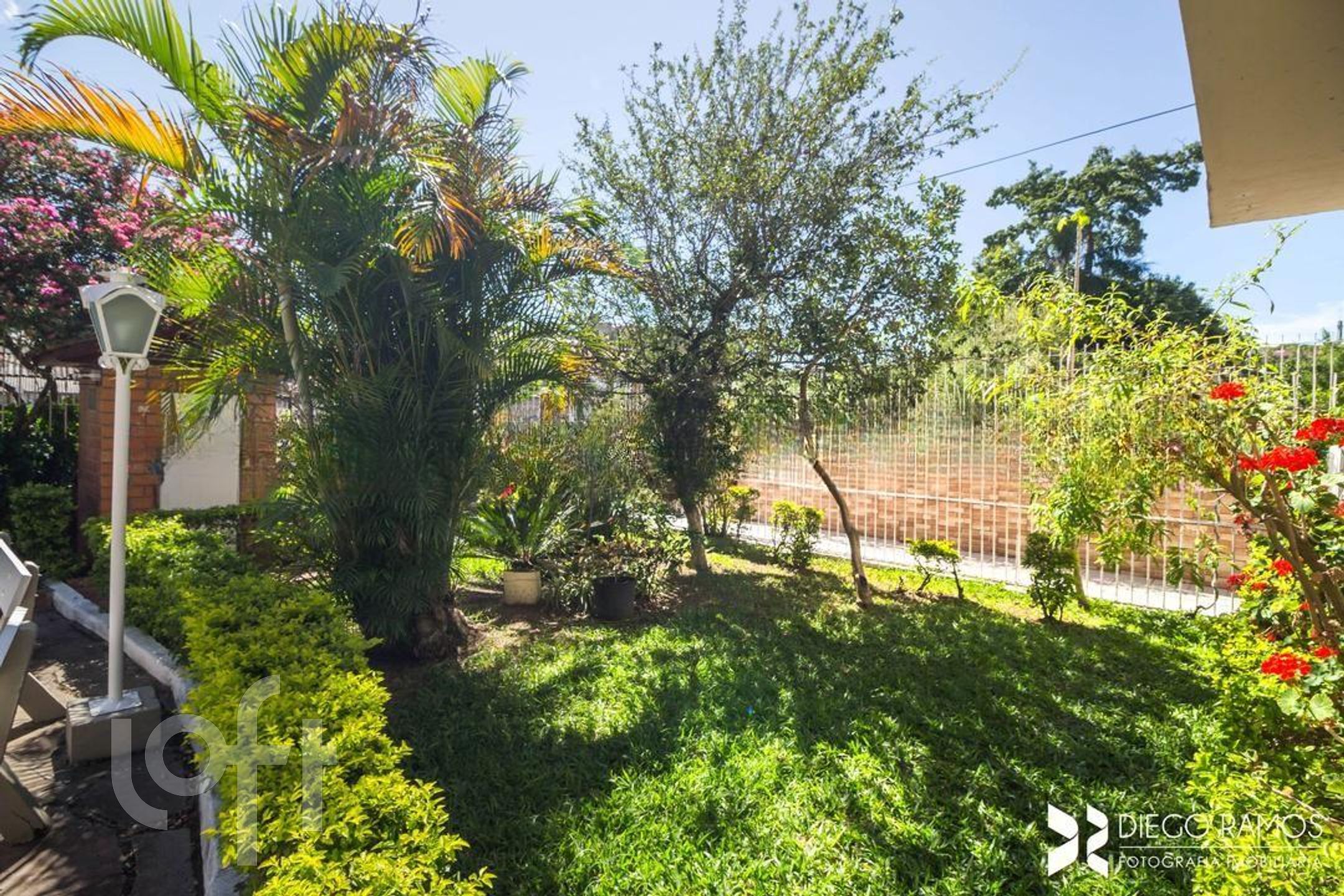 Imagem da propriedade 29