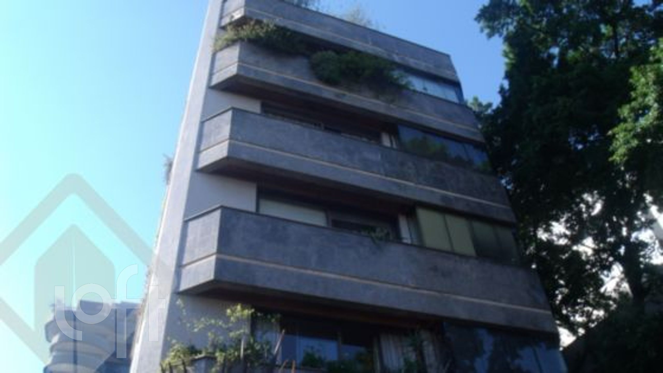 Imagem da propriedade 2