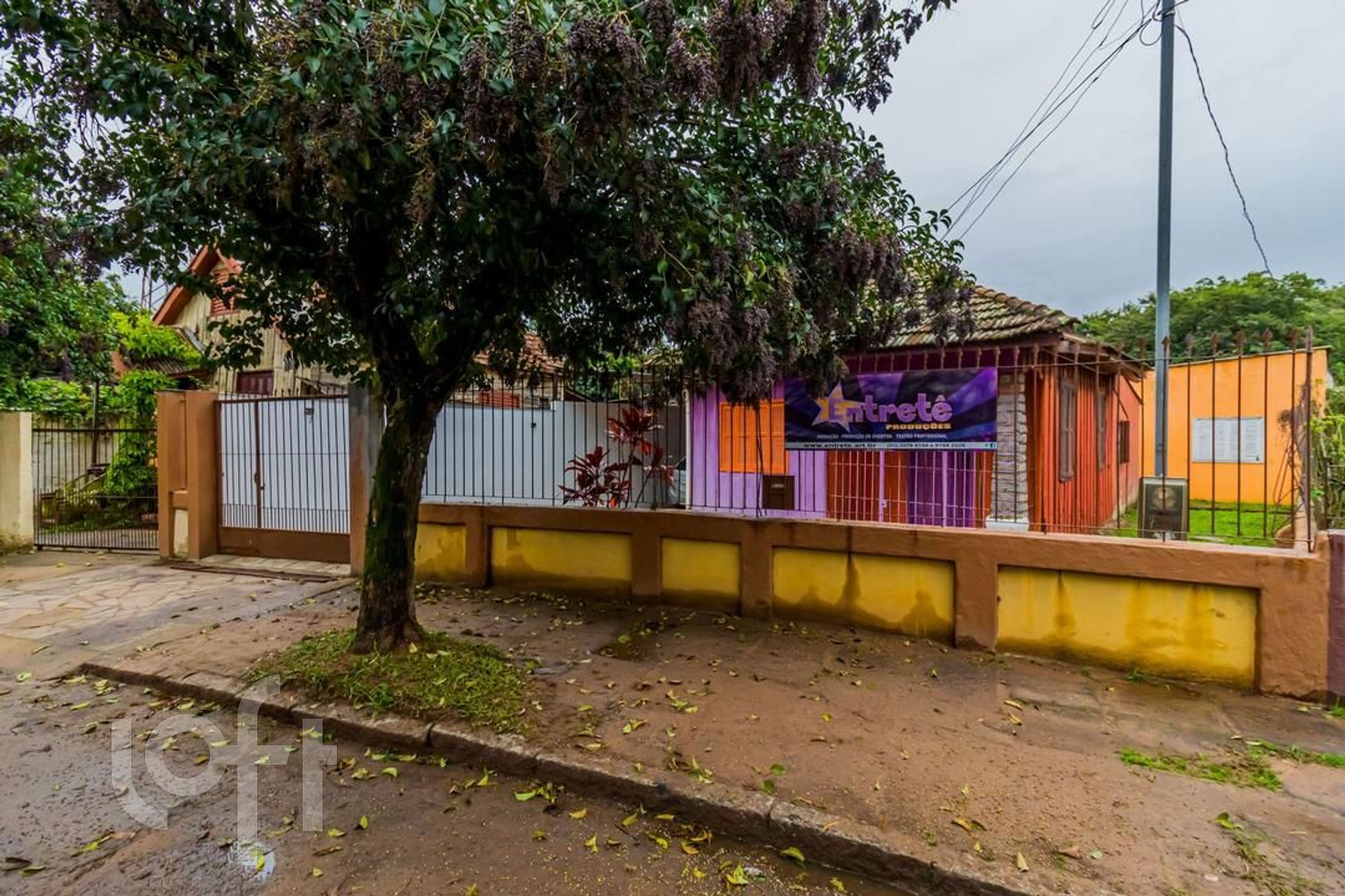 Imagem da propriedade 3