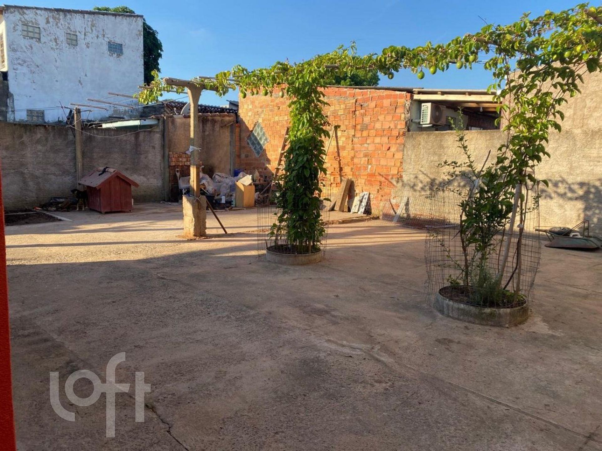 Imagem da propriedade 6