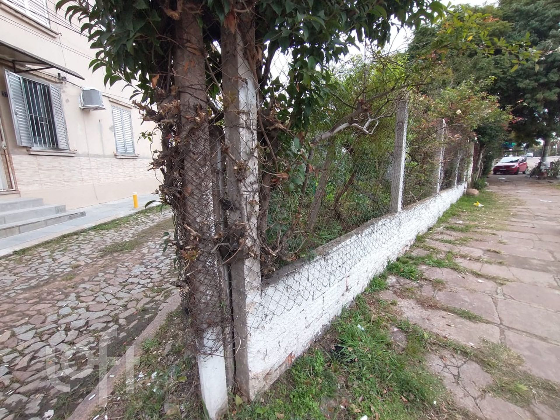 Imagem da propriedade 19