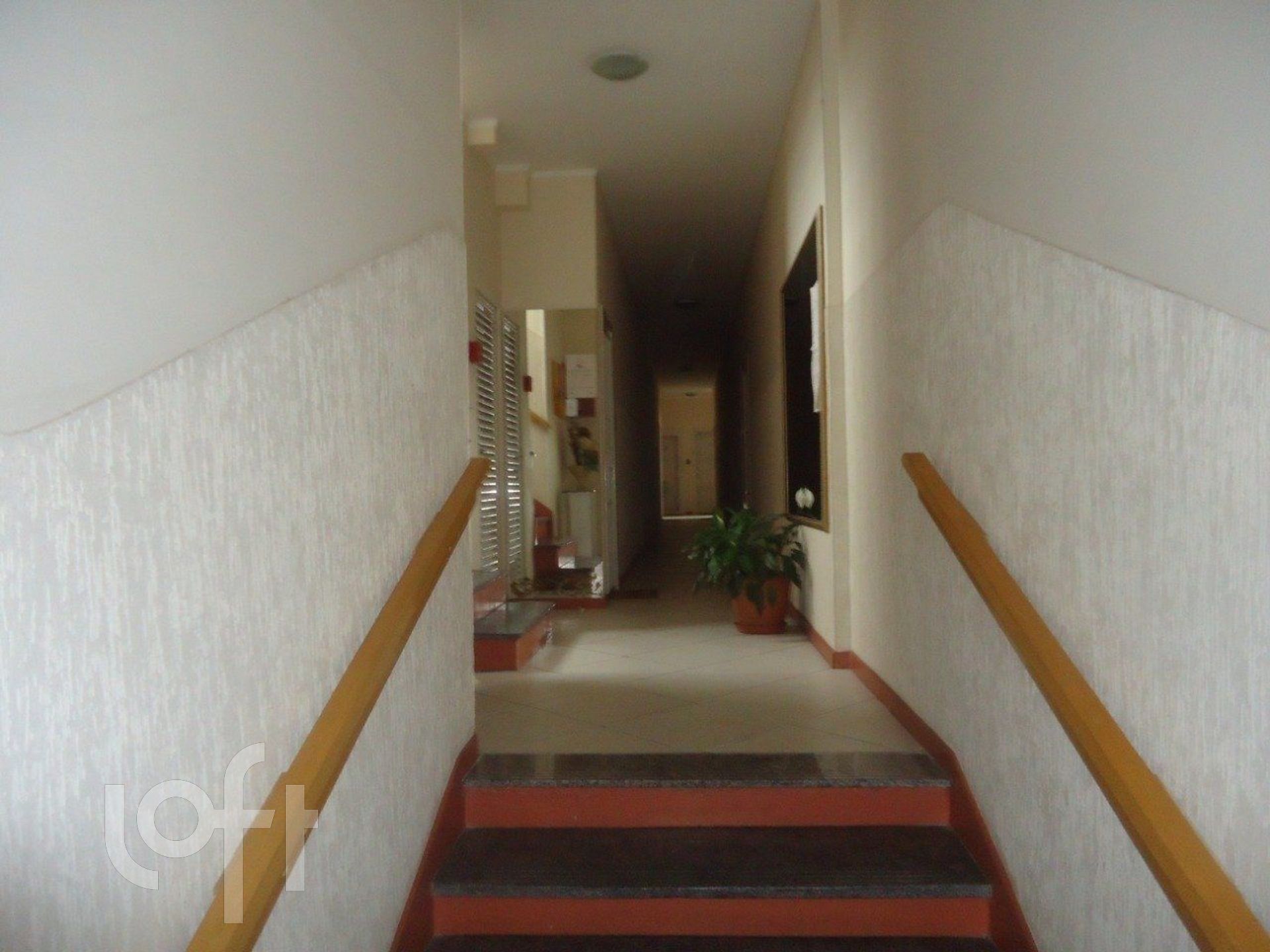 Imagem da propriedade 3