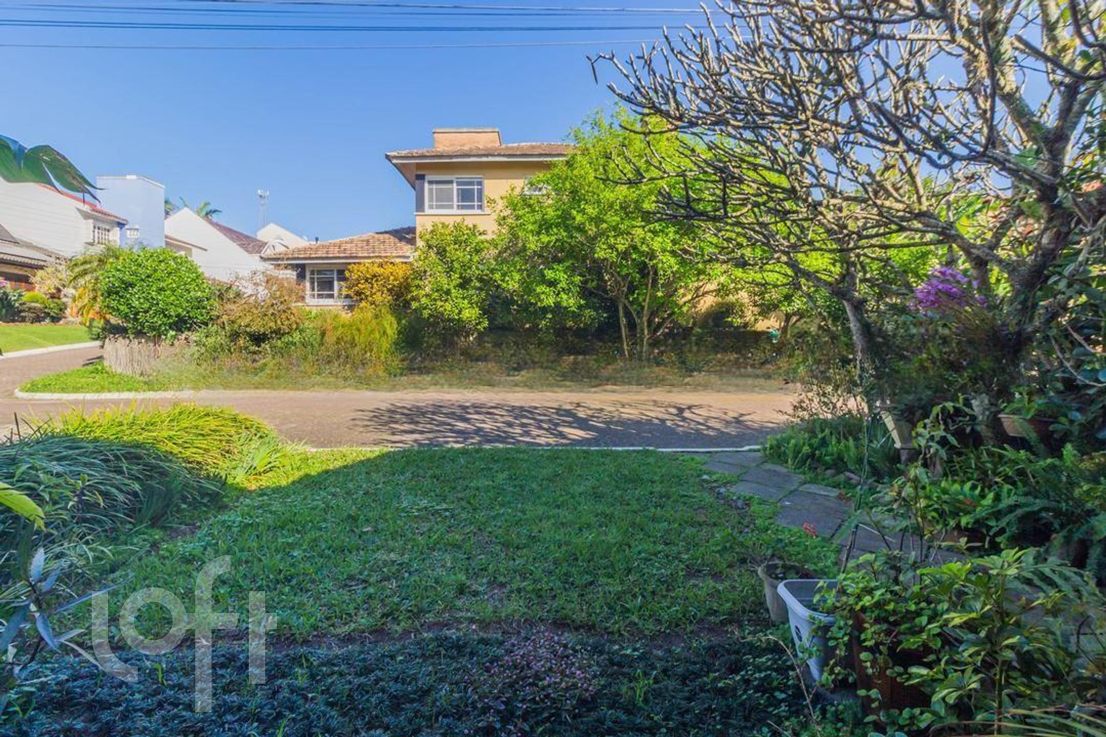 Imagem da propriedade 8