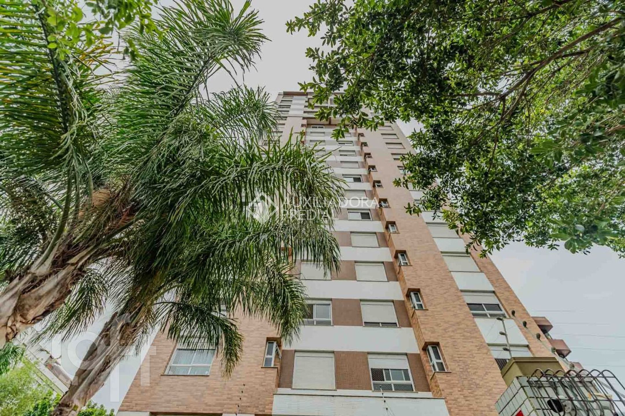 Imagem da propriedade 36