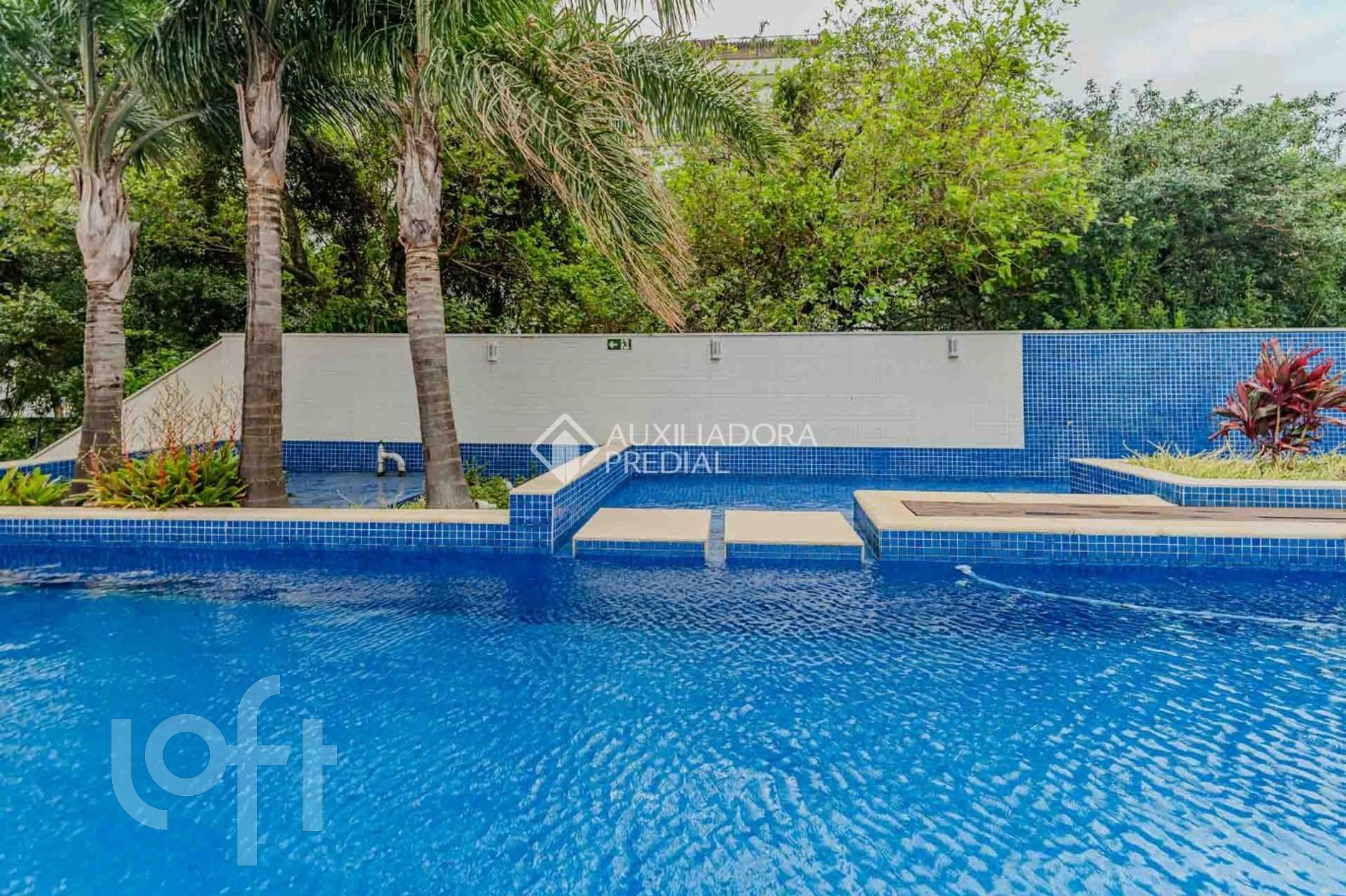 Imagem da propriedade 22