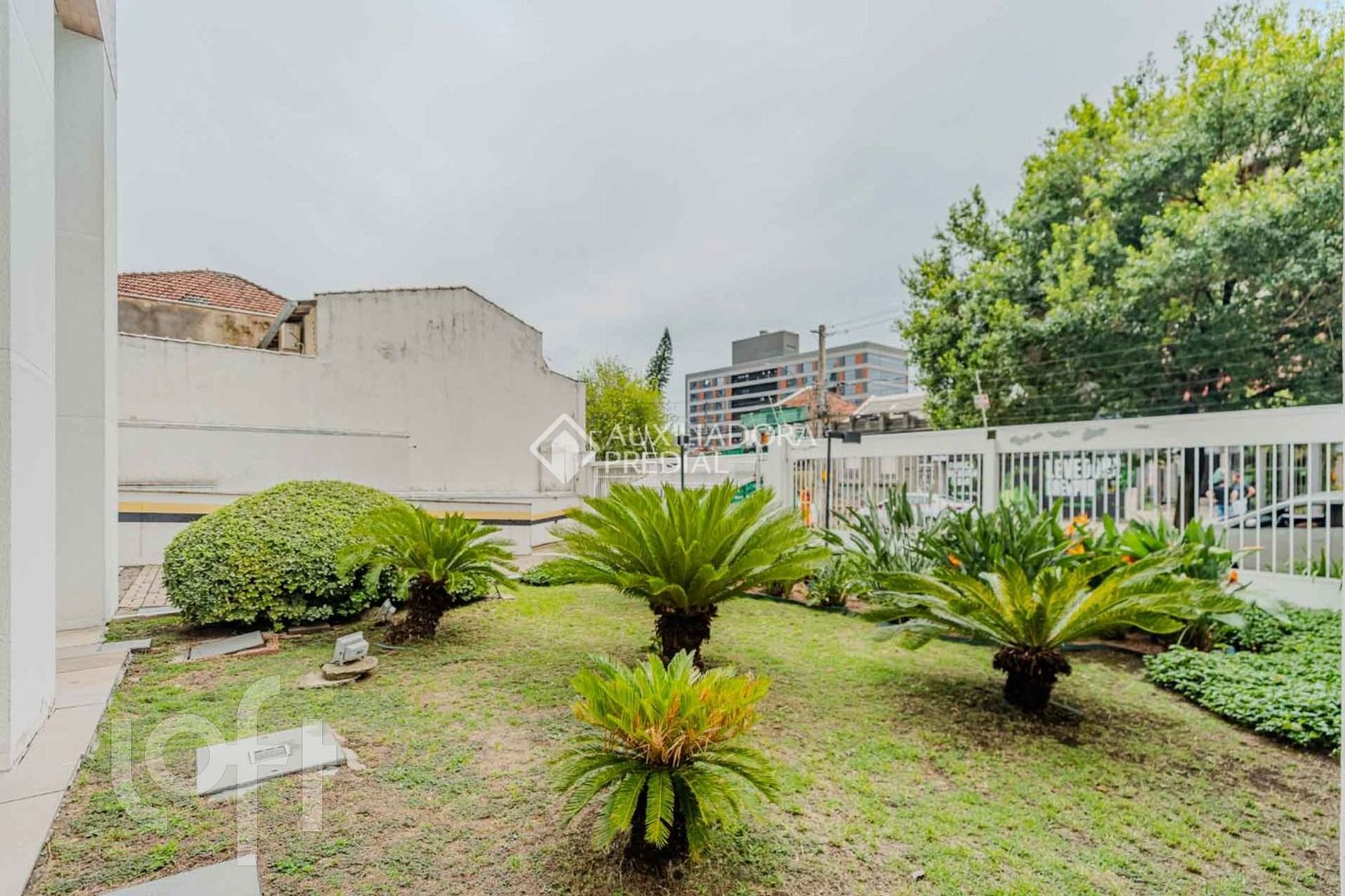 Imagem da propriedade 34