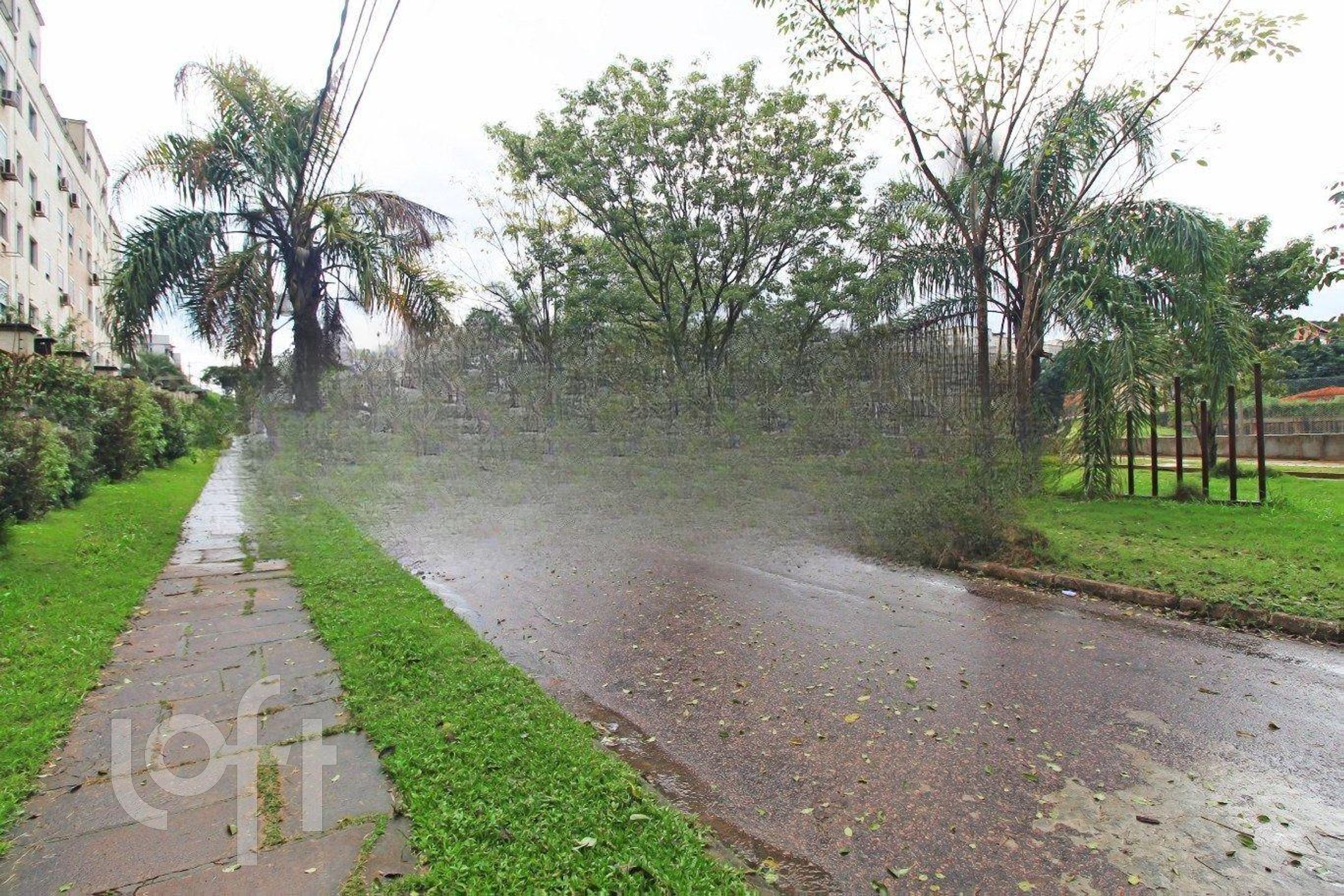 Imagem da propriedade 20