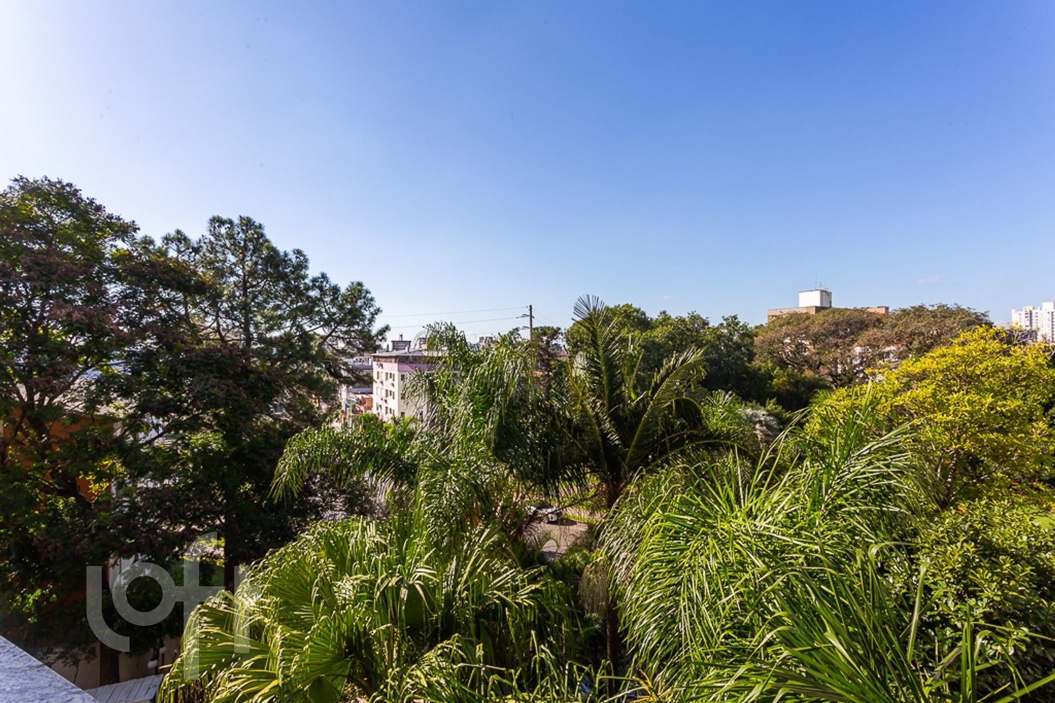 Imagem da propriedade 34