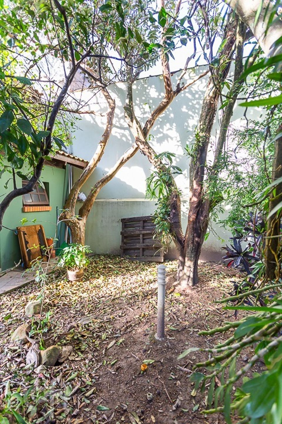 Imagem da propriedade 35