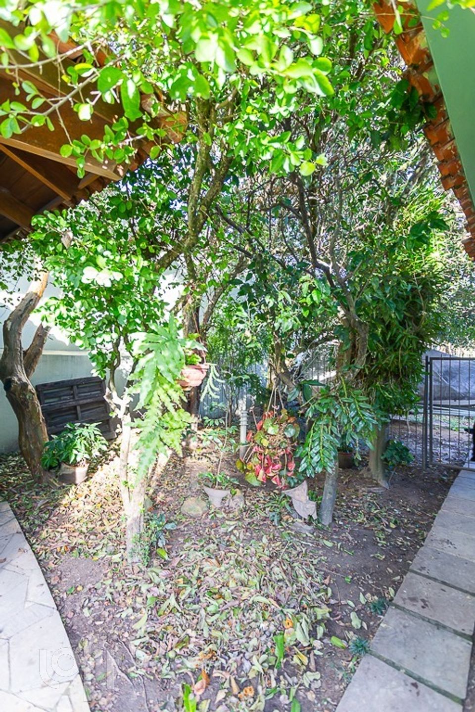 Imagem da propriedade 34