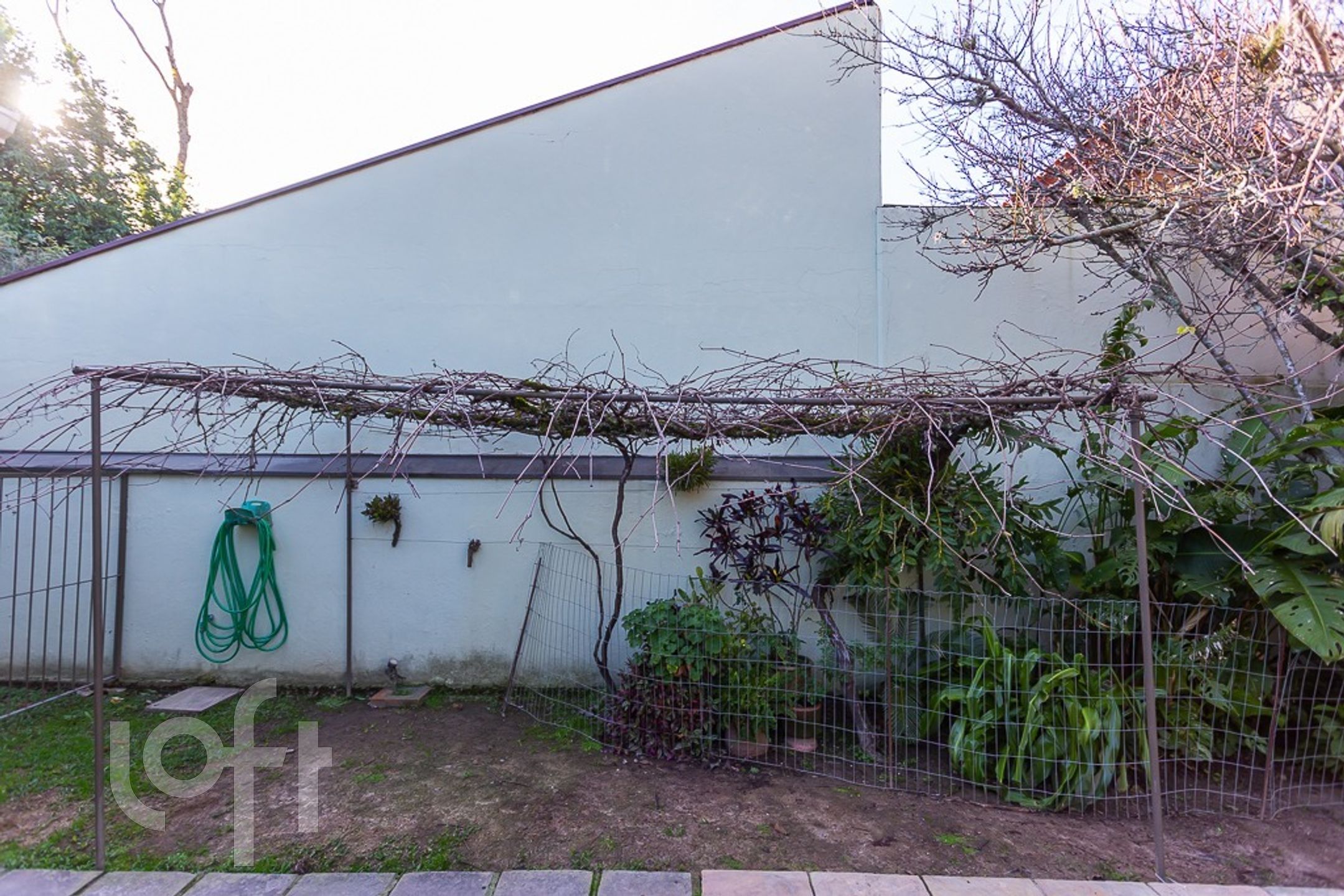 Imagem da propriedade 33