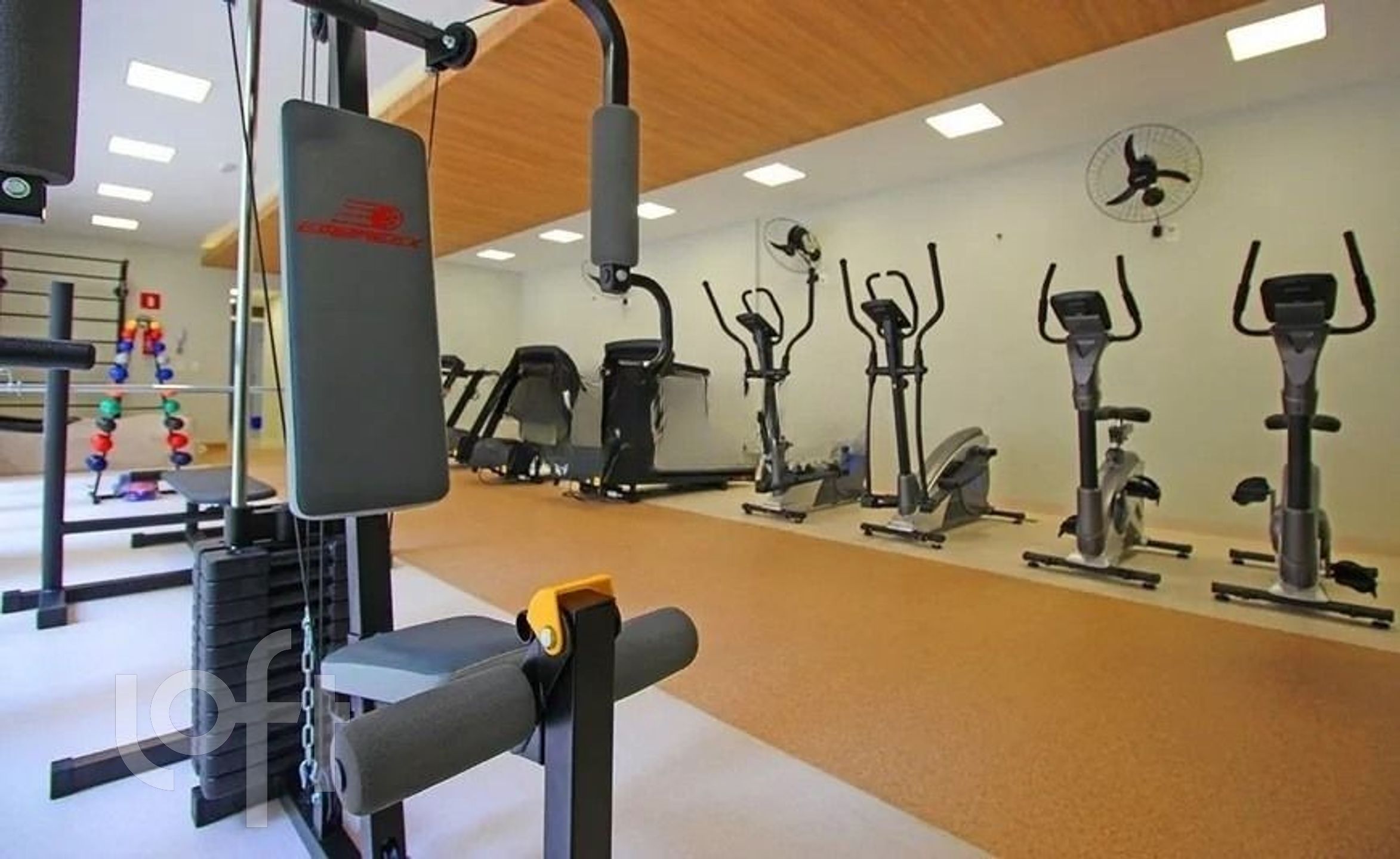 Imagem da propriedade 15