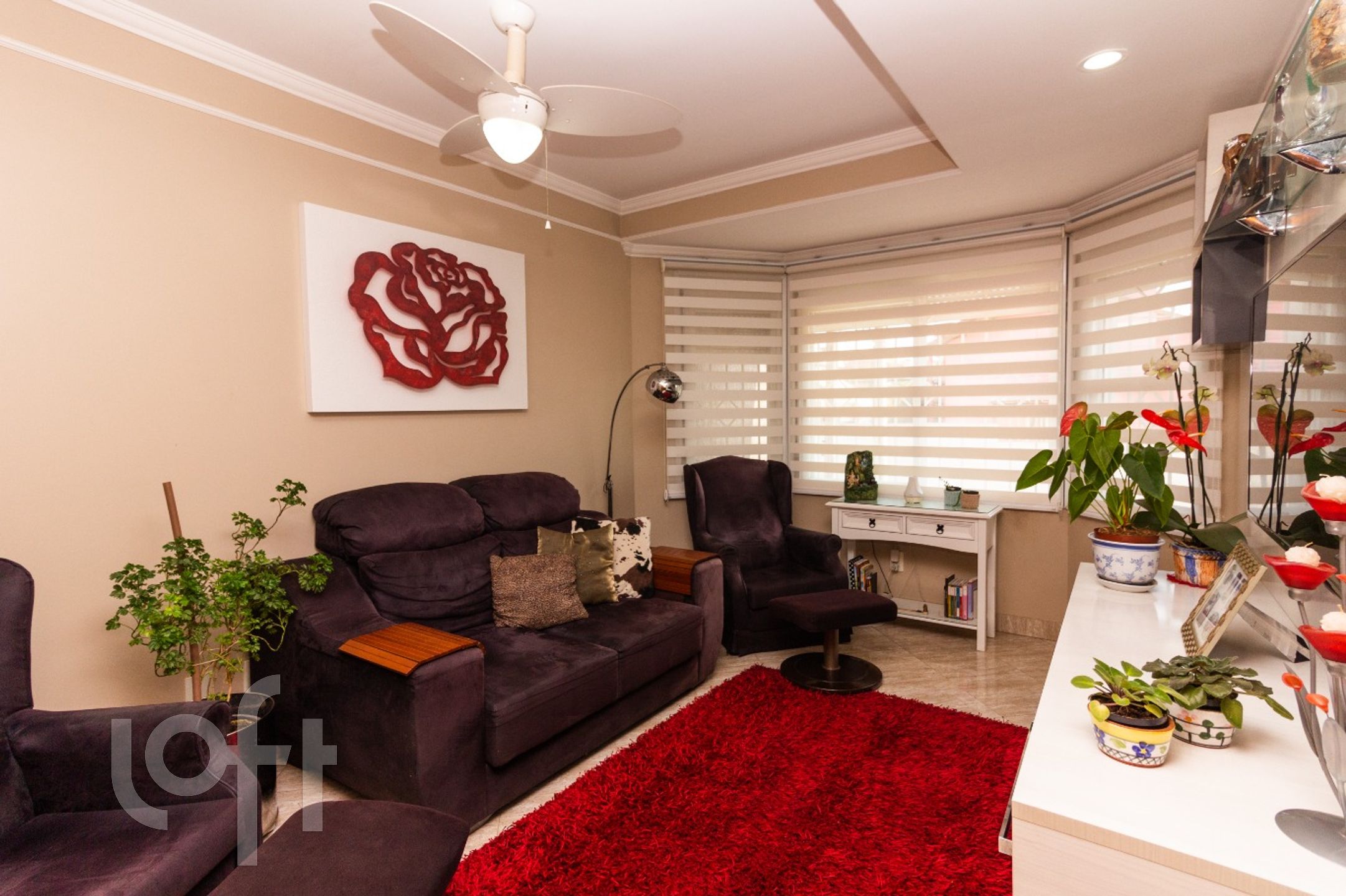 Imagem da propriedade 8