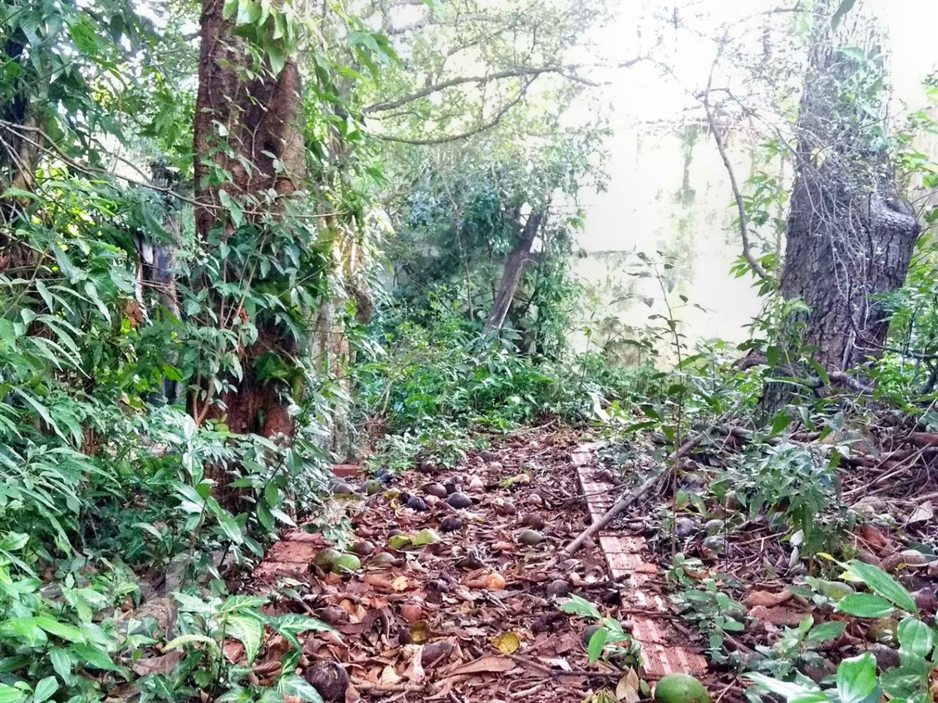 Imagem da propriedade 14