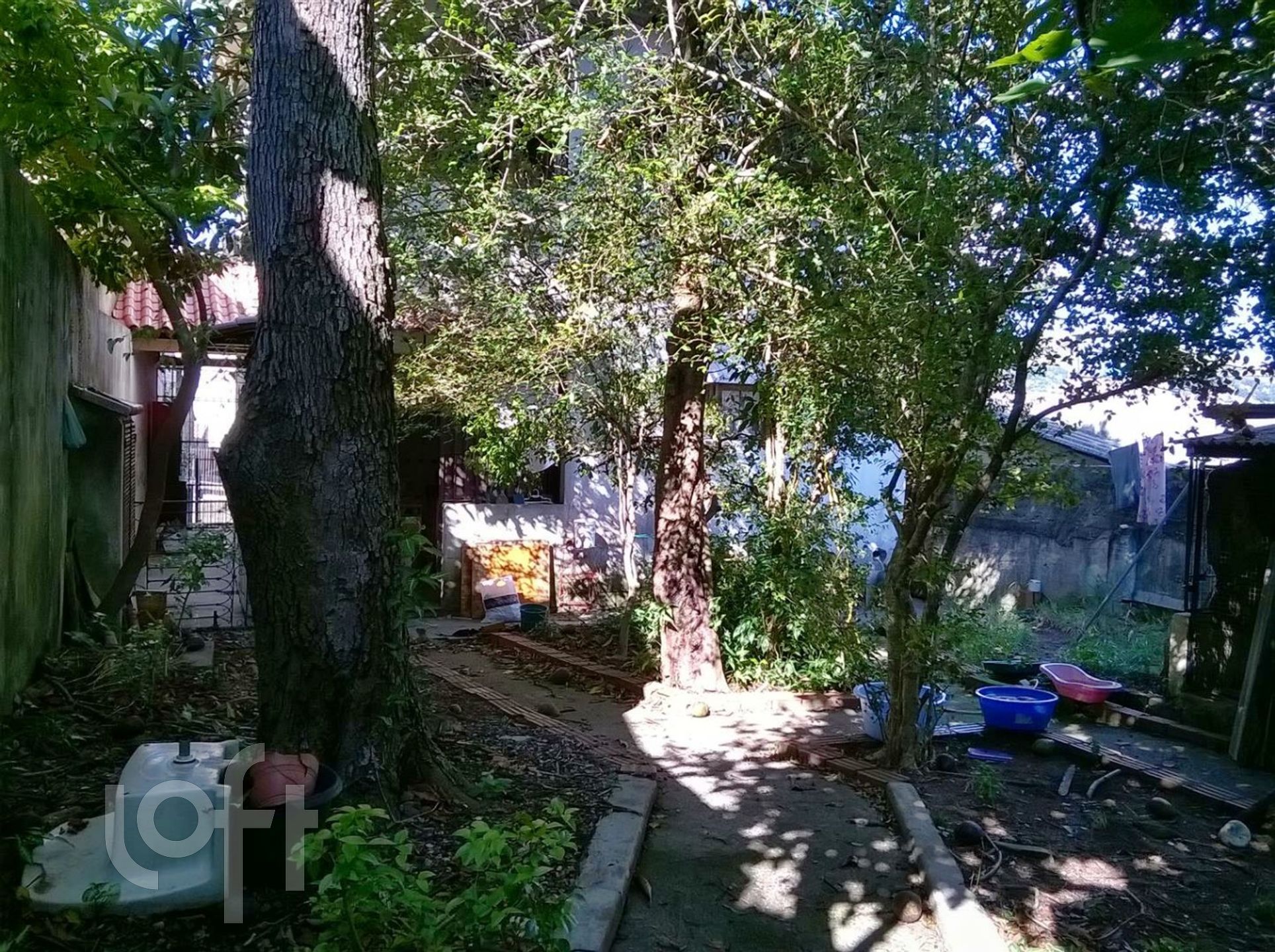 Imagem da propriedade 18