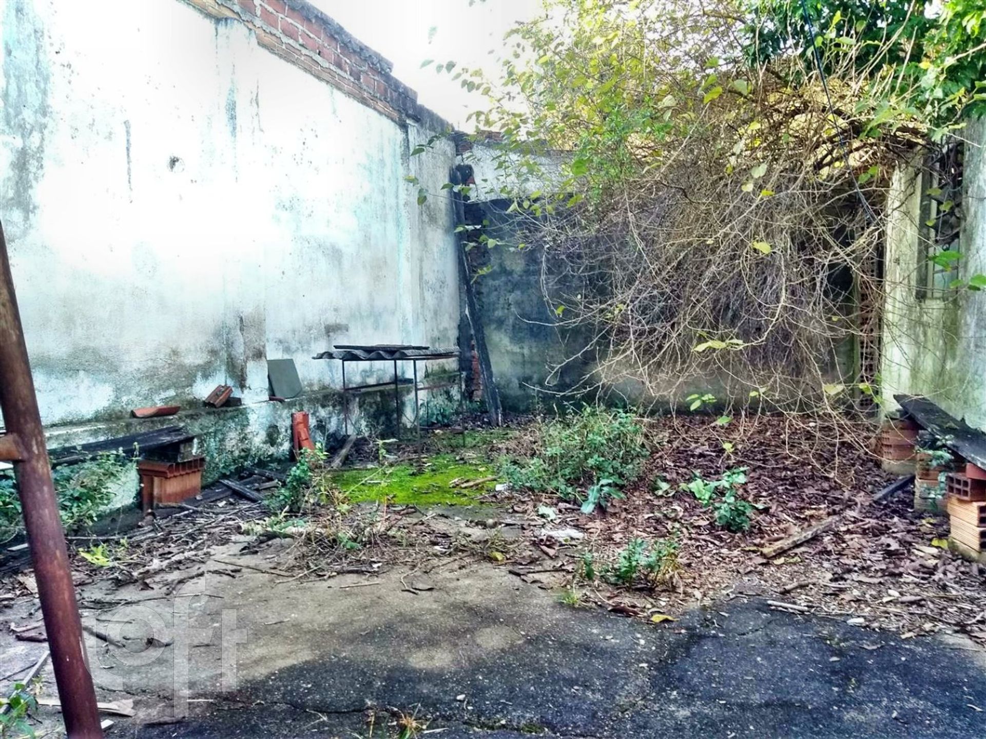 Imagem da propriedade 22