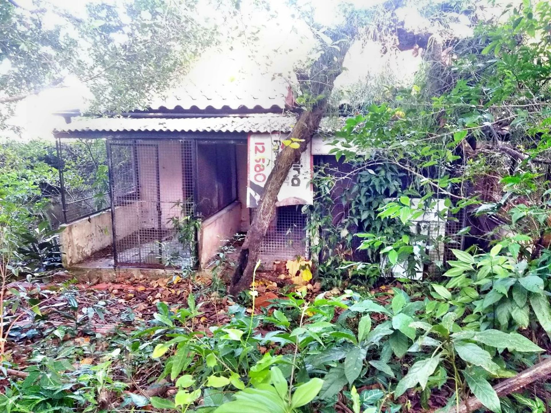 Imagem da propriedade 15