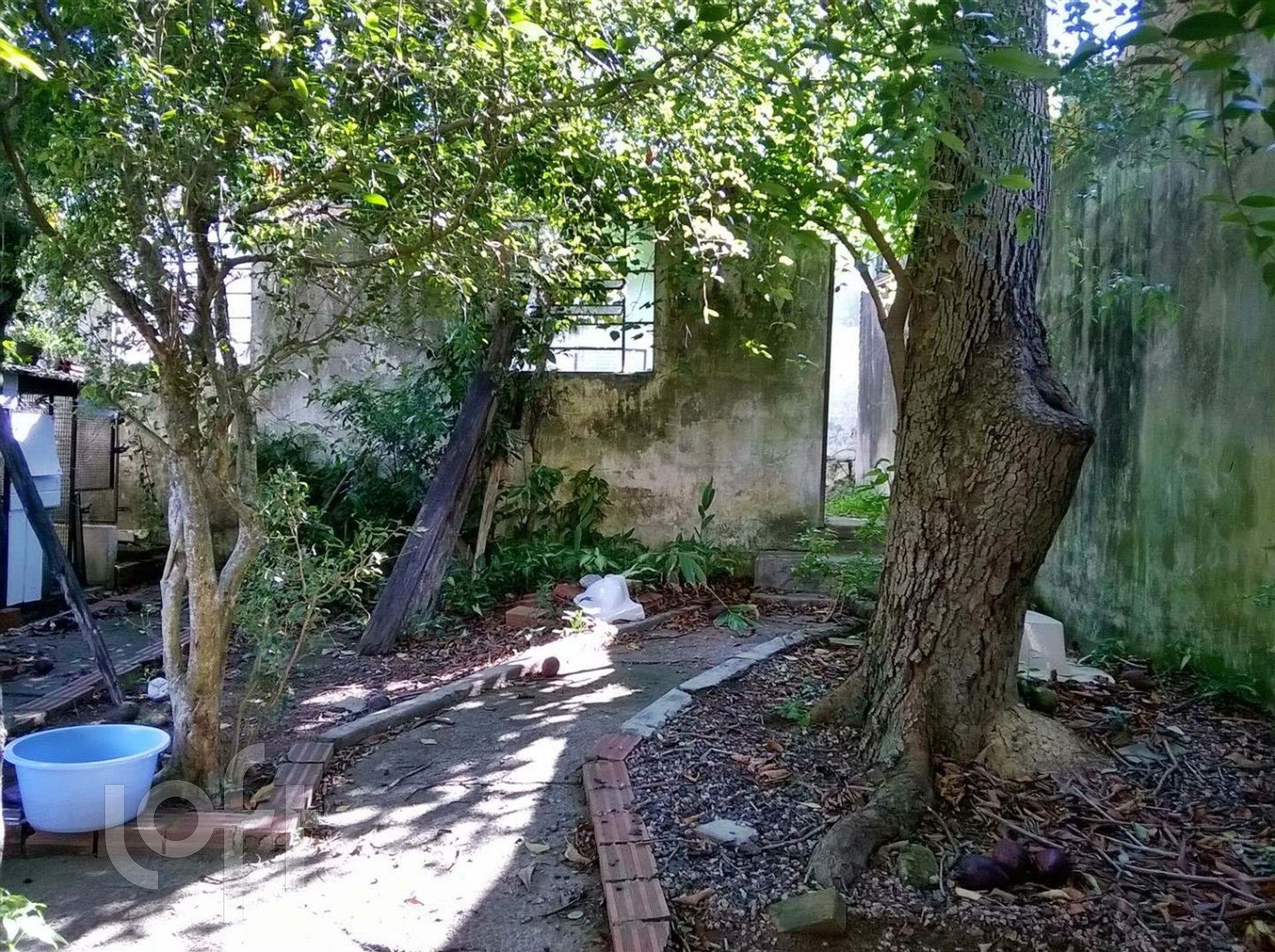 Imagem da propriedade 13