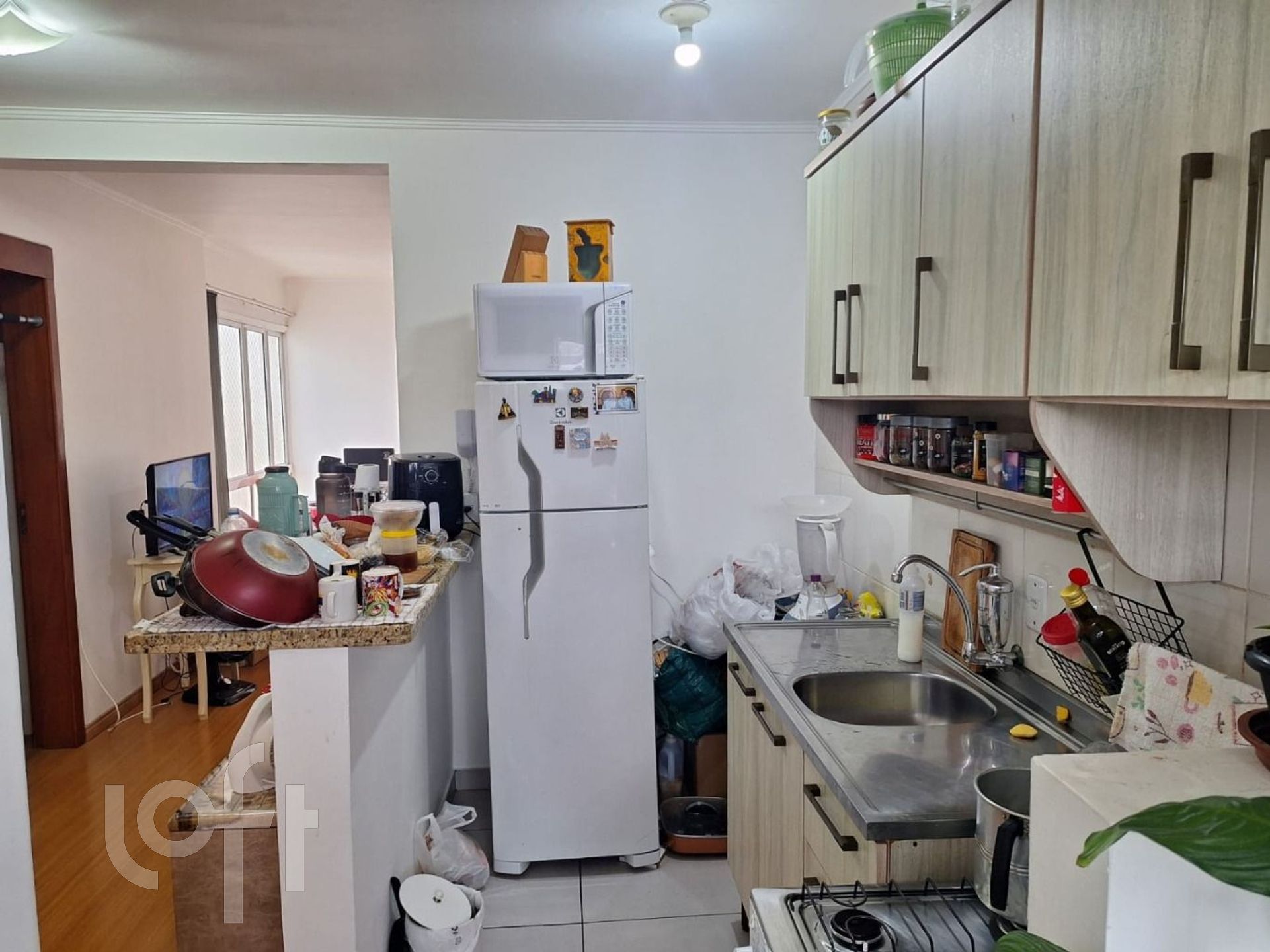 Imagem da propriedade 15