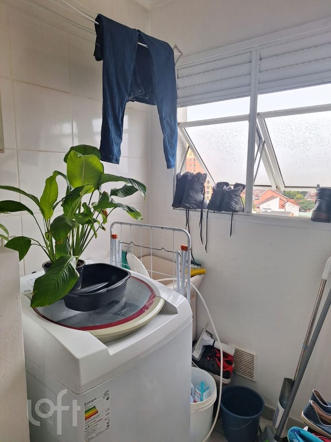 Imagem da propriedade 19