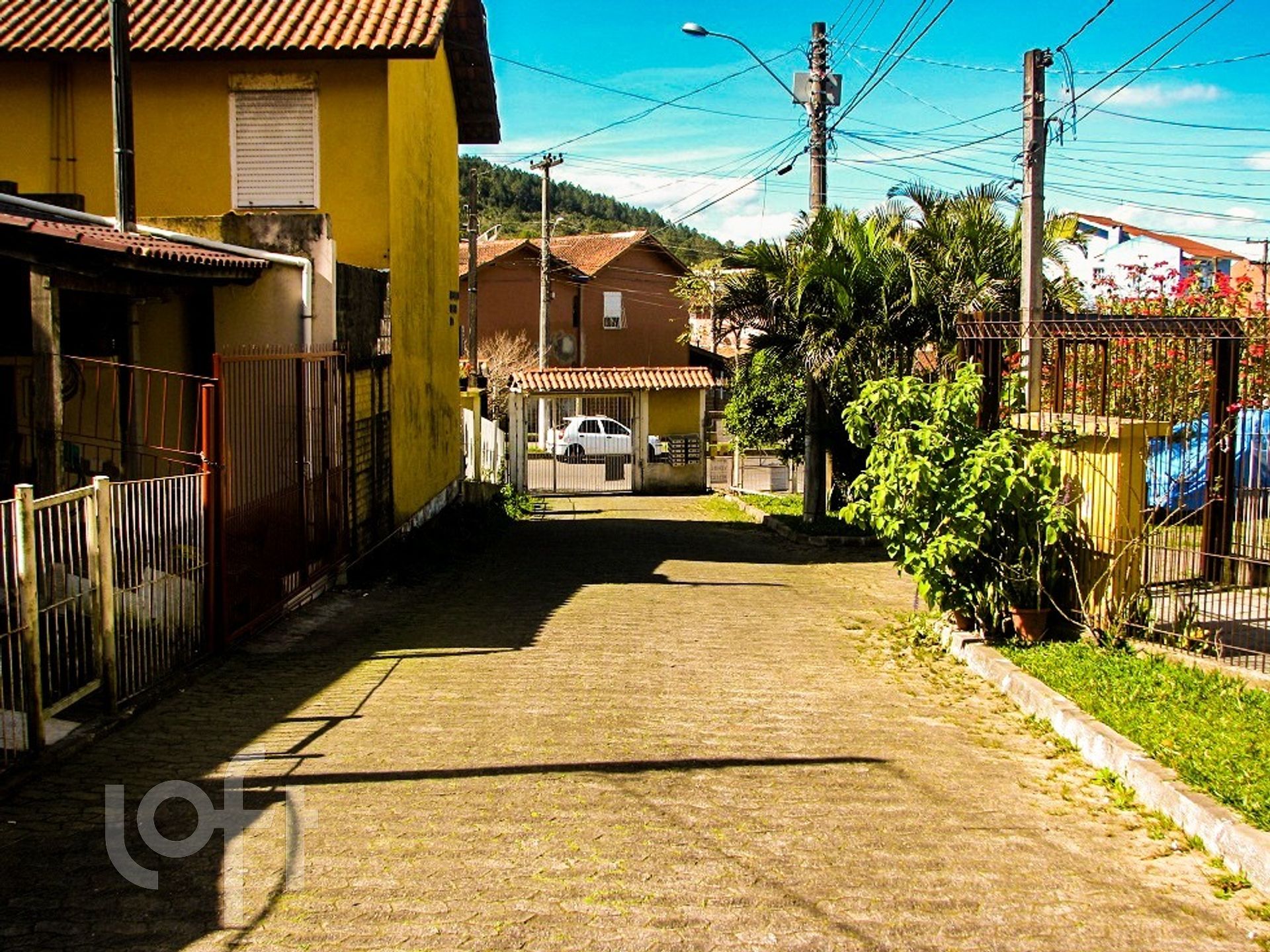 Imagem da propriedade 23