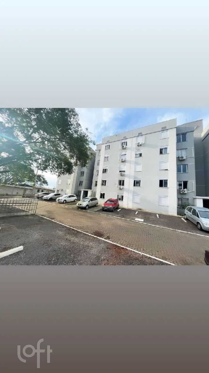 Imagem da propriedade 10