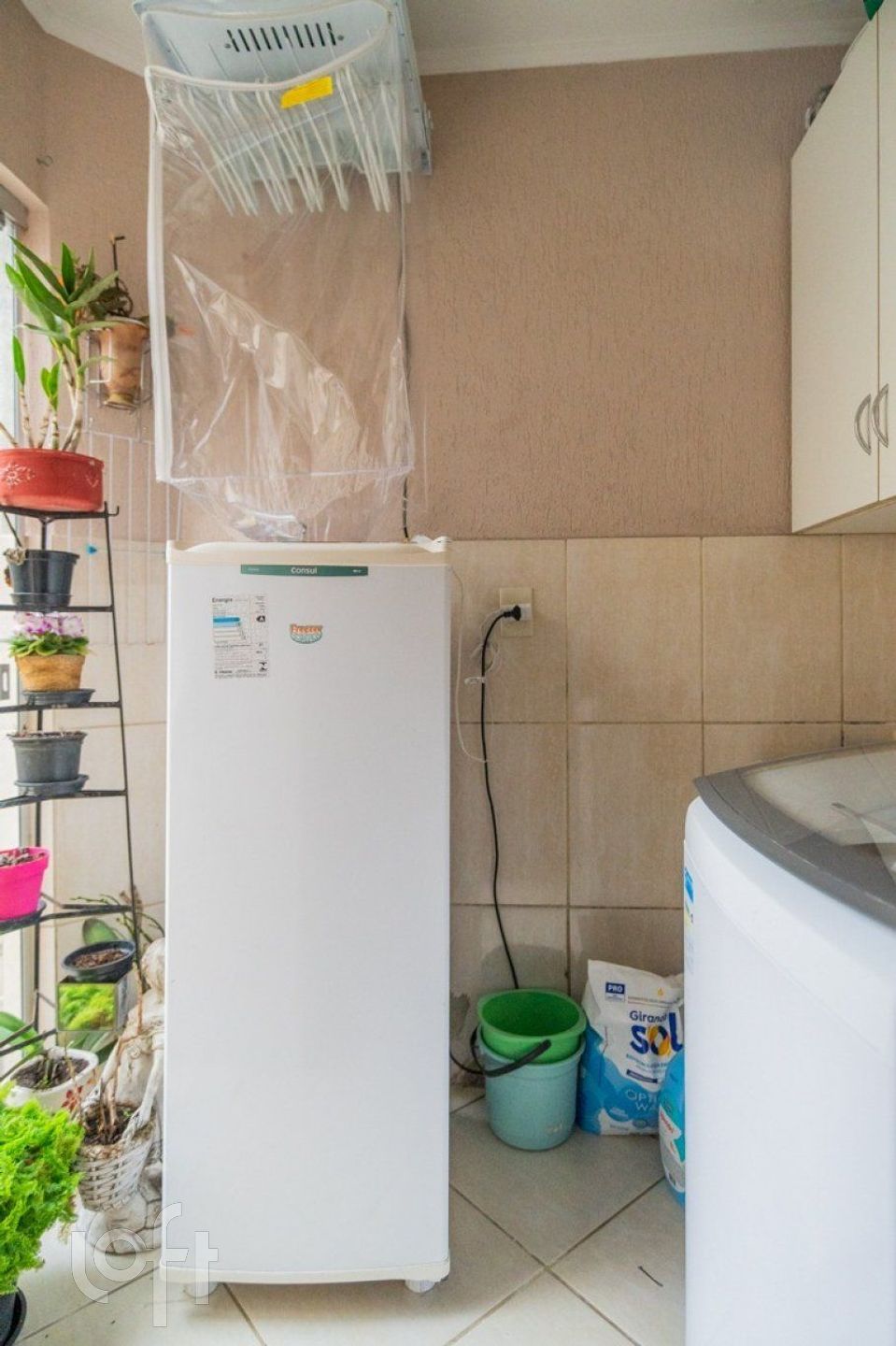 Imagem da propriedade 19