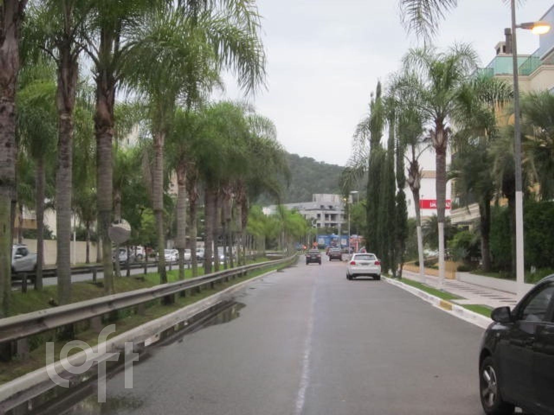 Imagem da propriedade 55