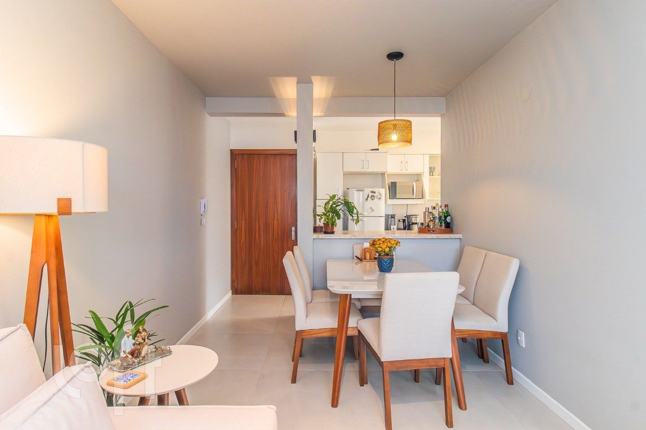 Imagem da propriedade 6