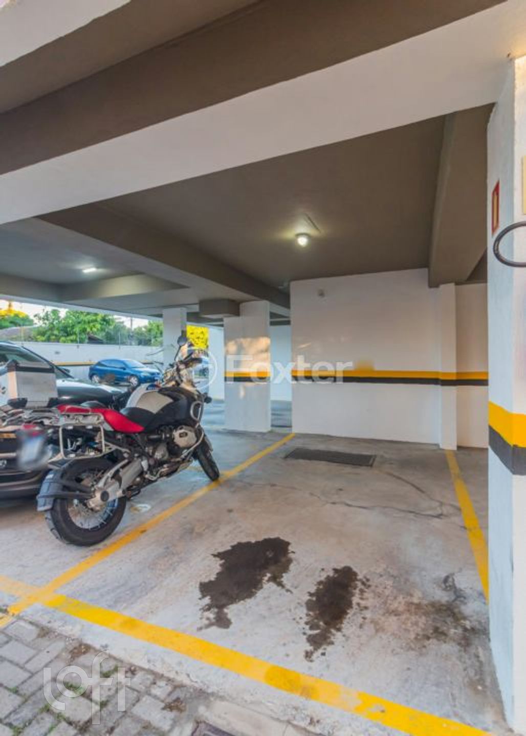 Imagem da propriedade 19