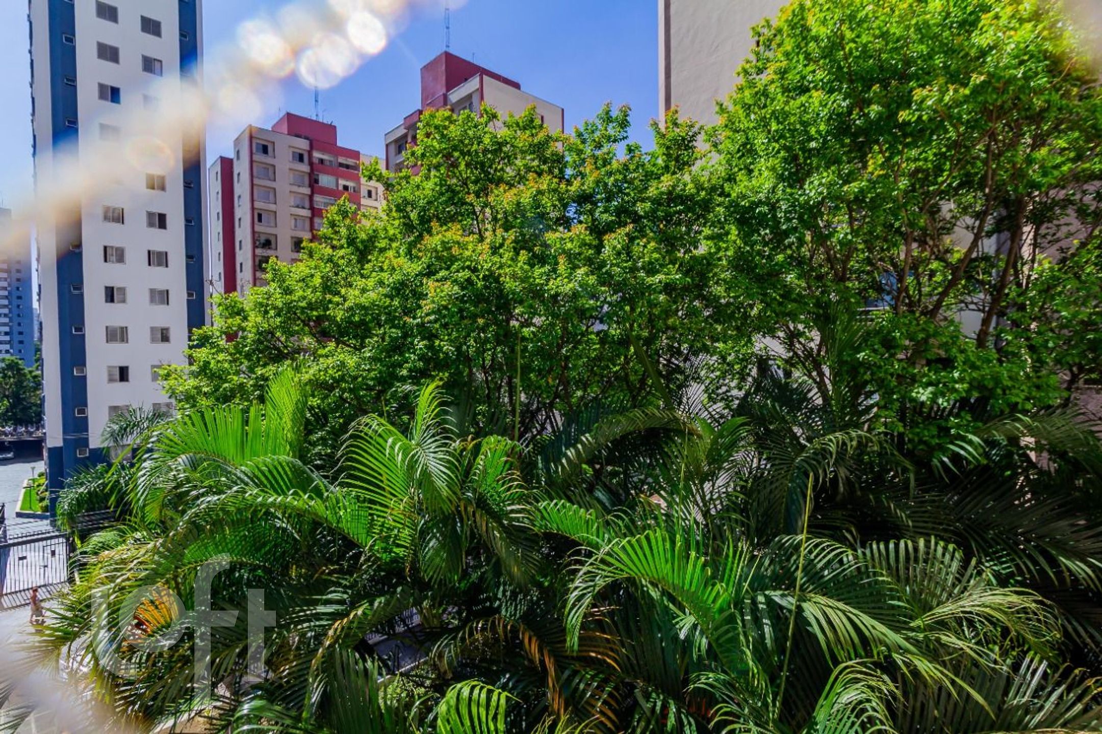 Imagem da propriedade 9