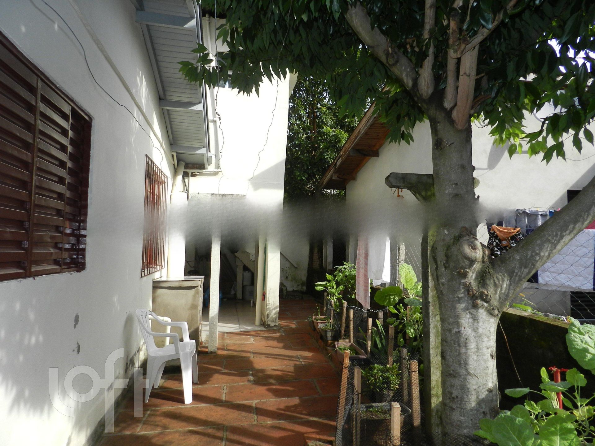 Imagem da propriedade 16